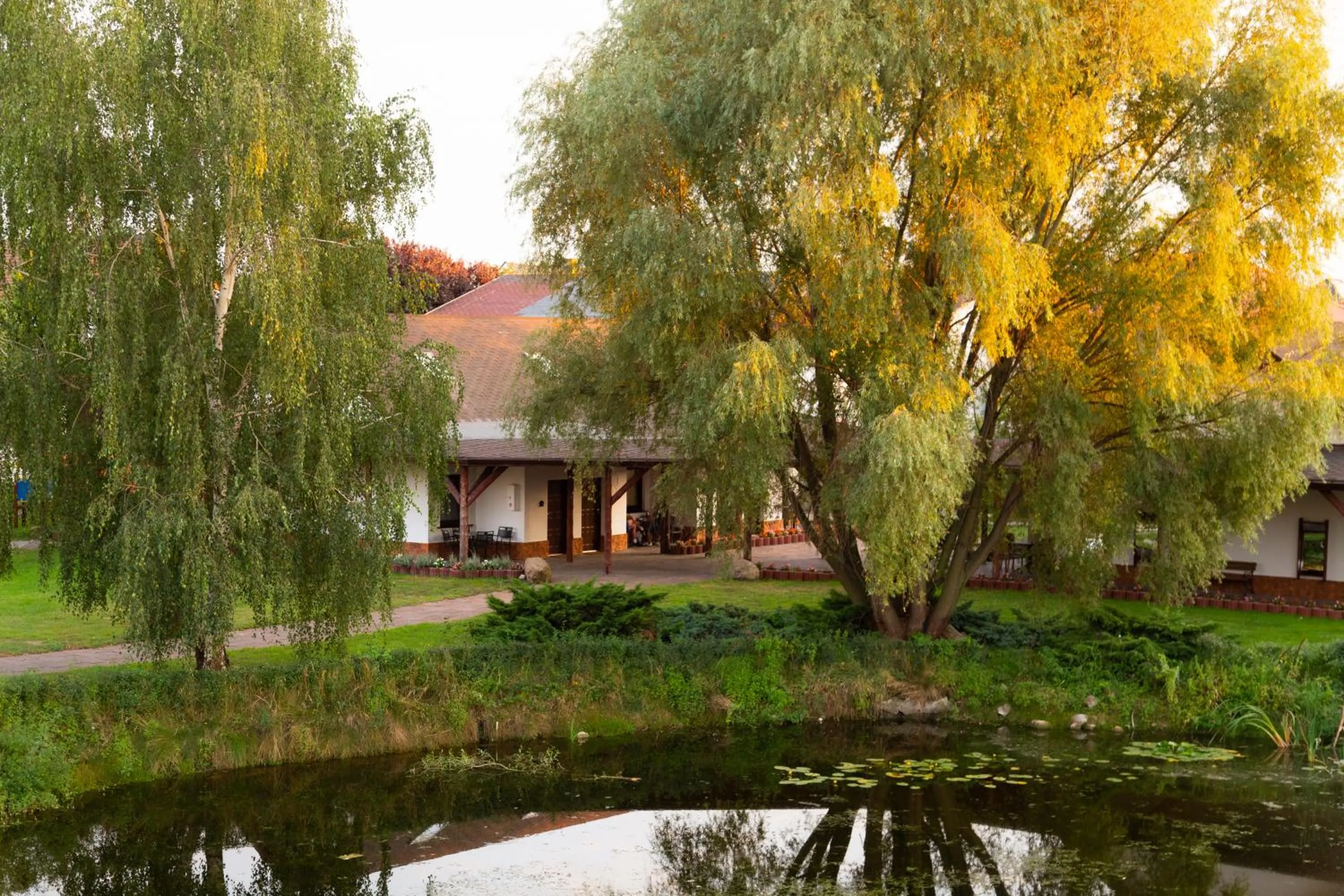 Property building in Hotel Nenufar