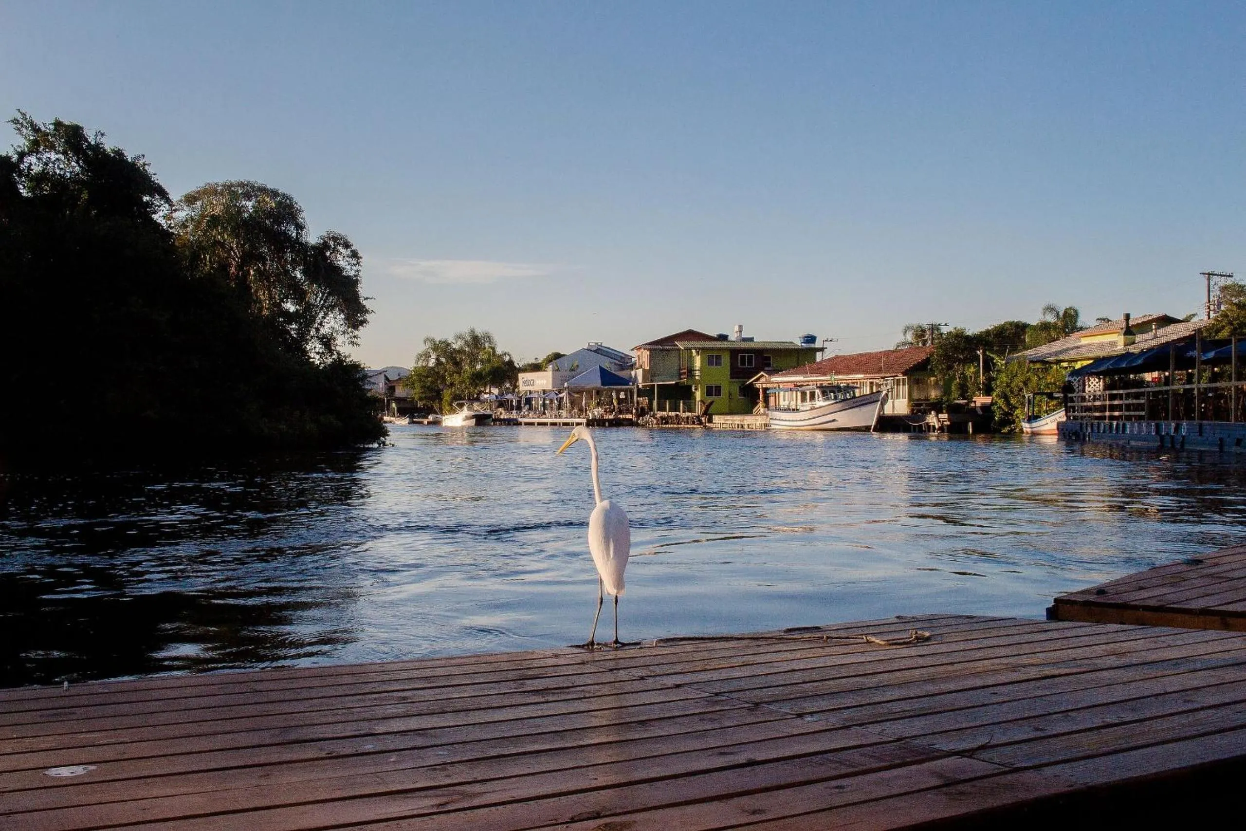 Lake view in Pousada Quinta da Margem