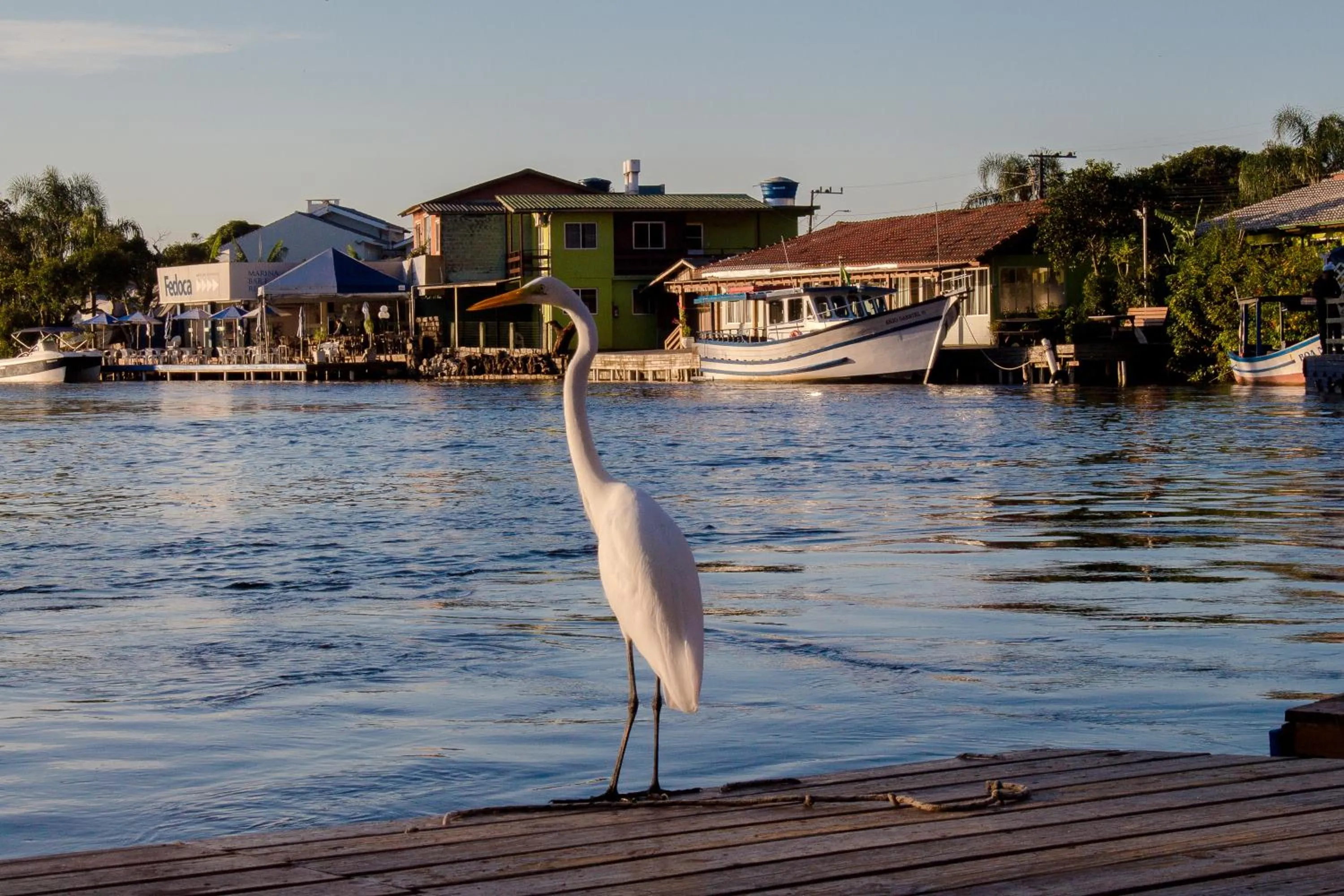 Property building in Pousada Quinta da Margem