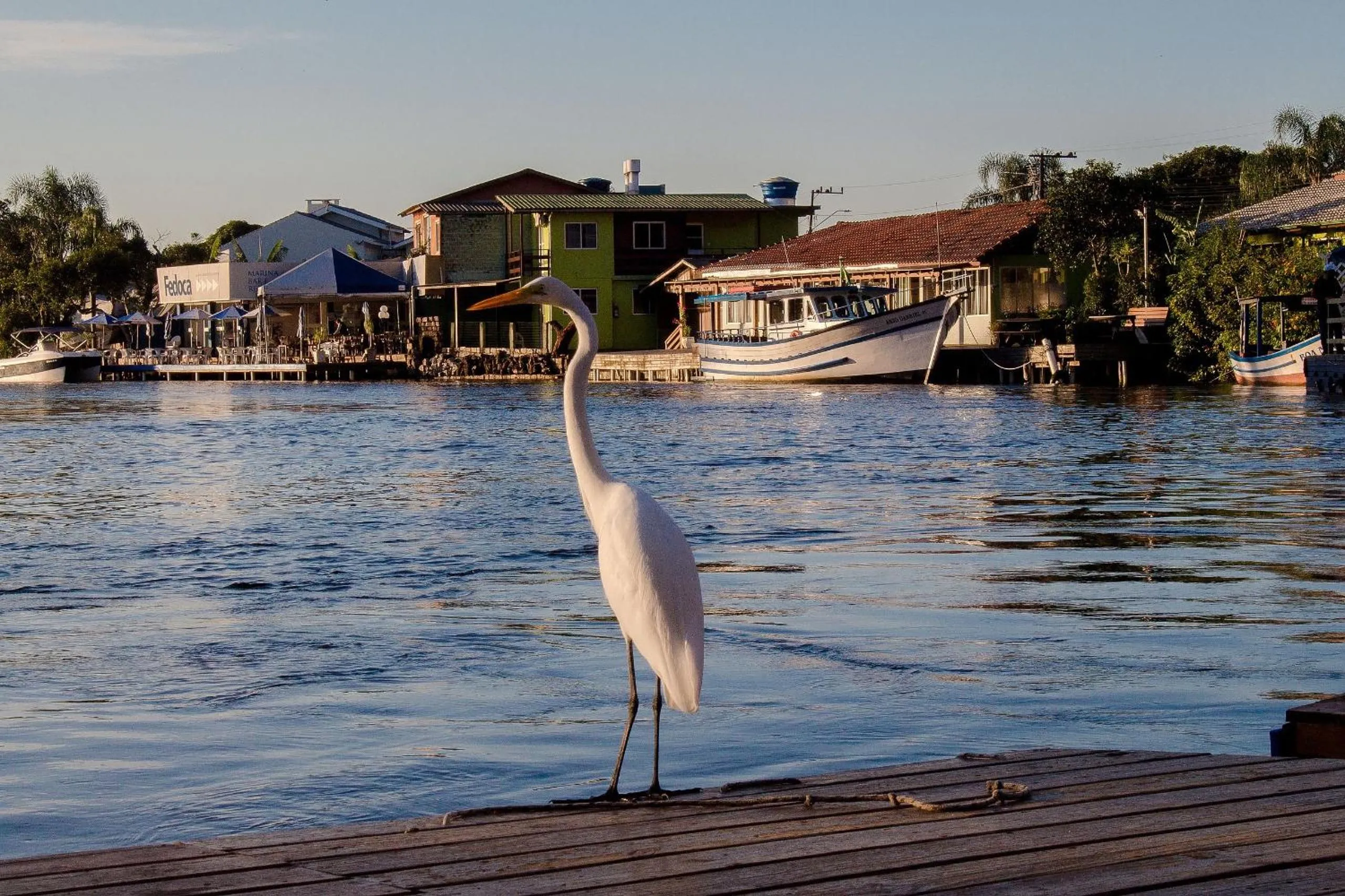 Natural landscape in Pousada Quinta da Margem