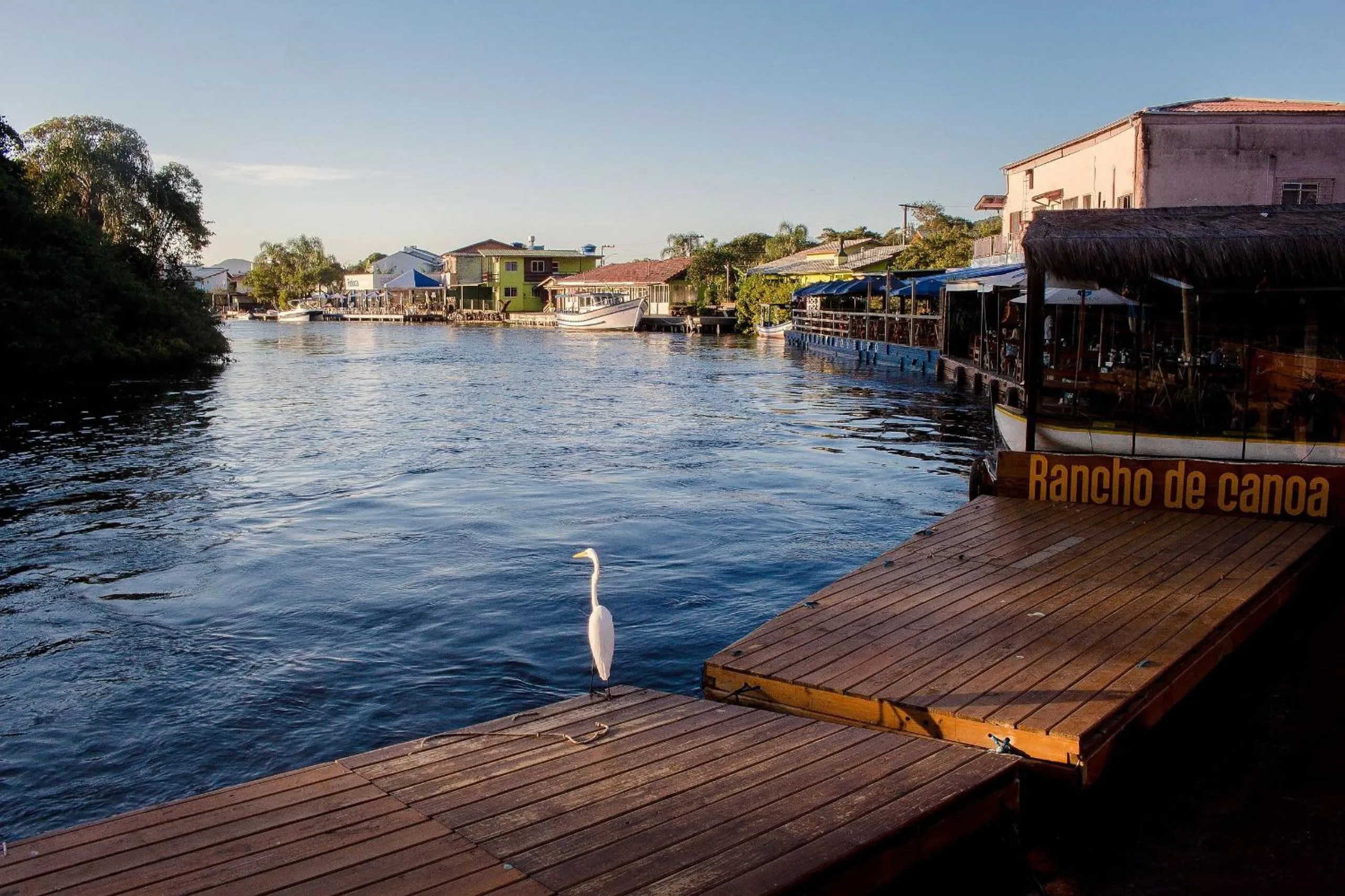 Natural landscape in Pousada Quinta da Margem