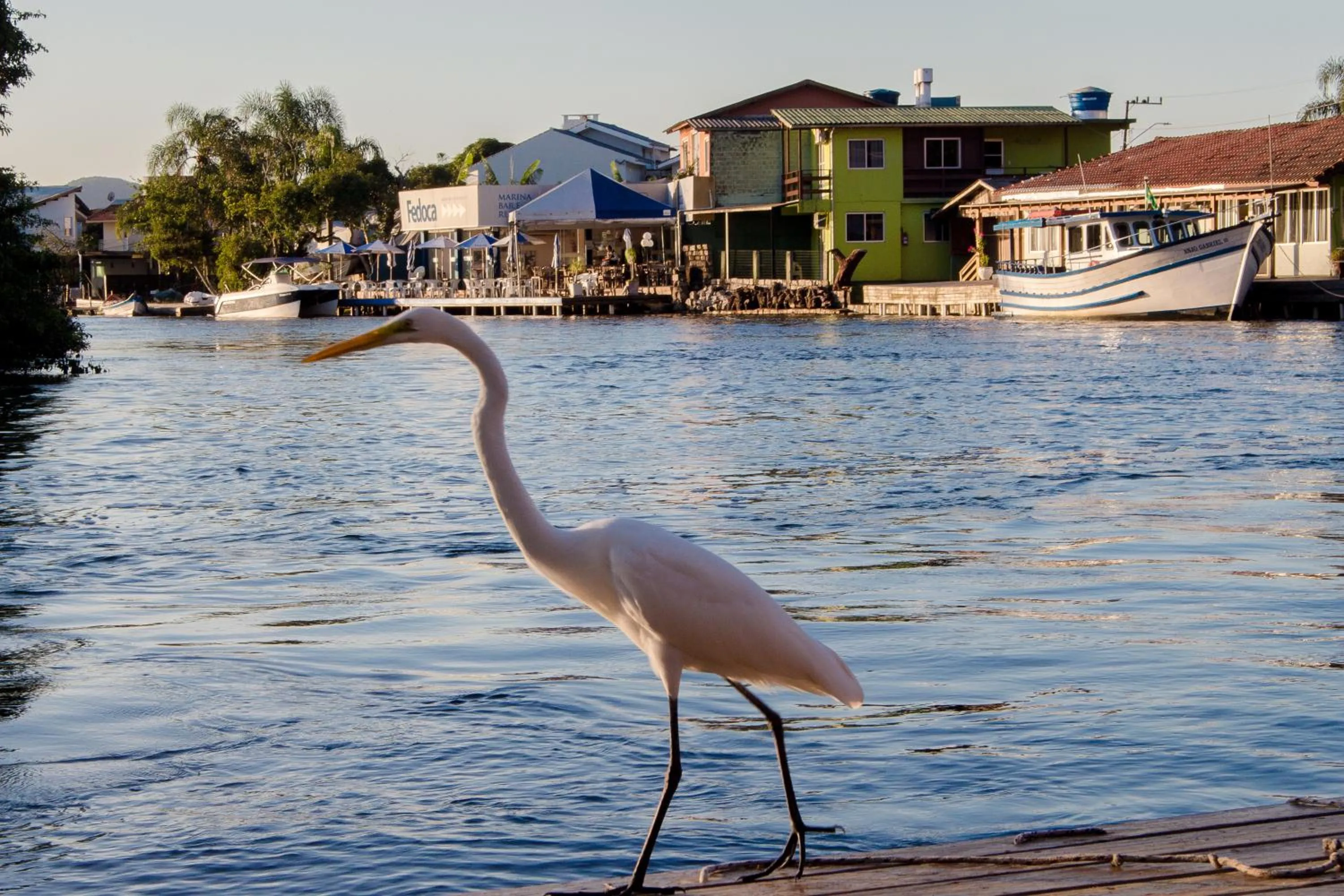 Day in Pousada Quinta da Margem