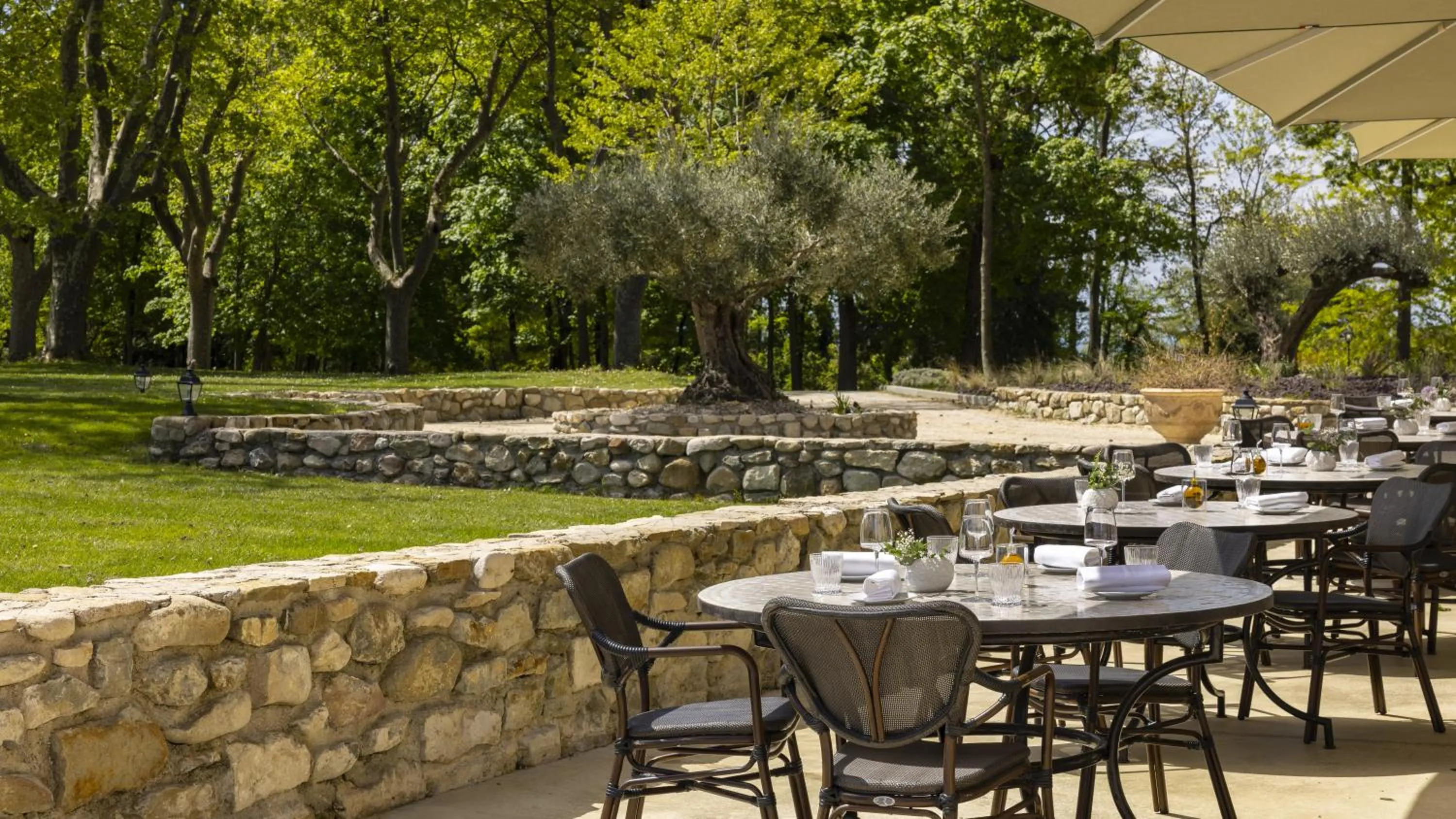 Château Les Oliviers de Salettes