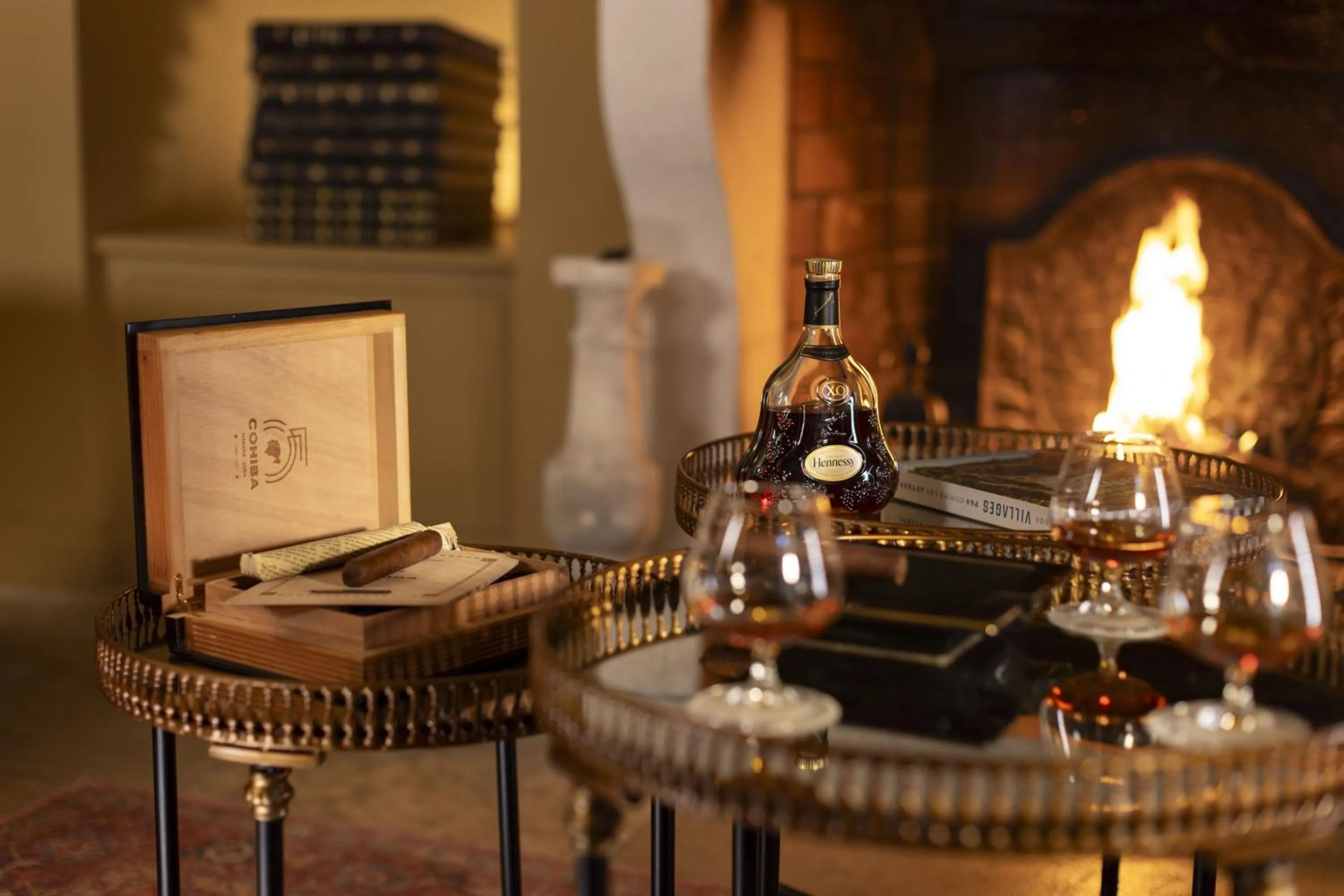 Château Les Oliviers de Salettes