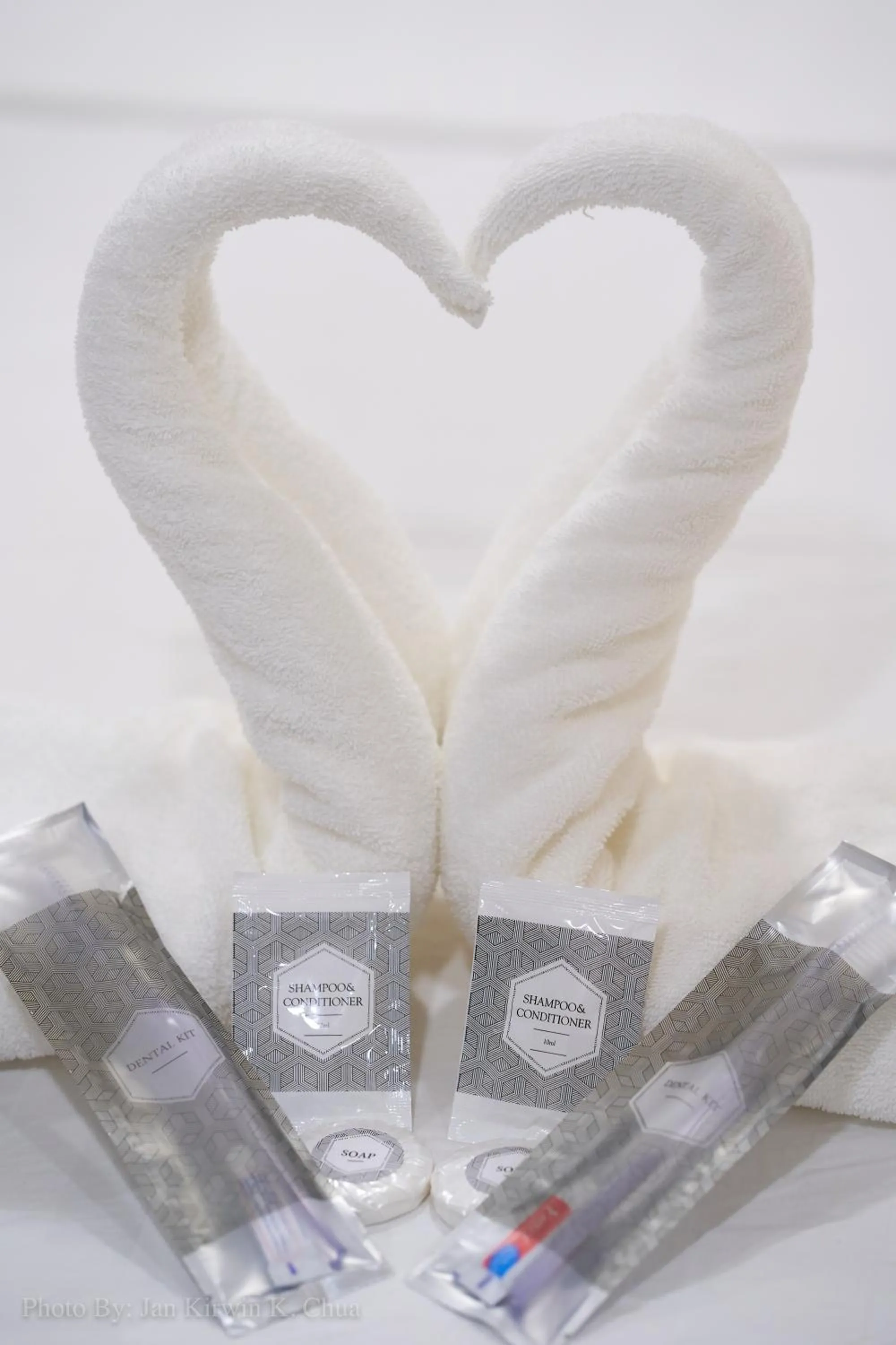 Decorative detail in Griffin Hotel and Suites