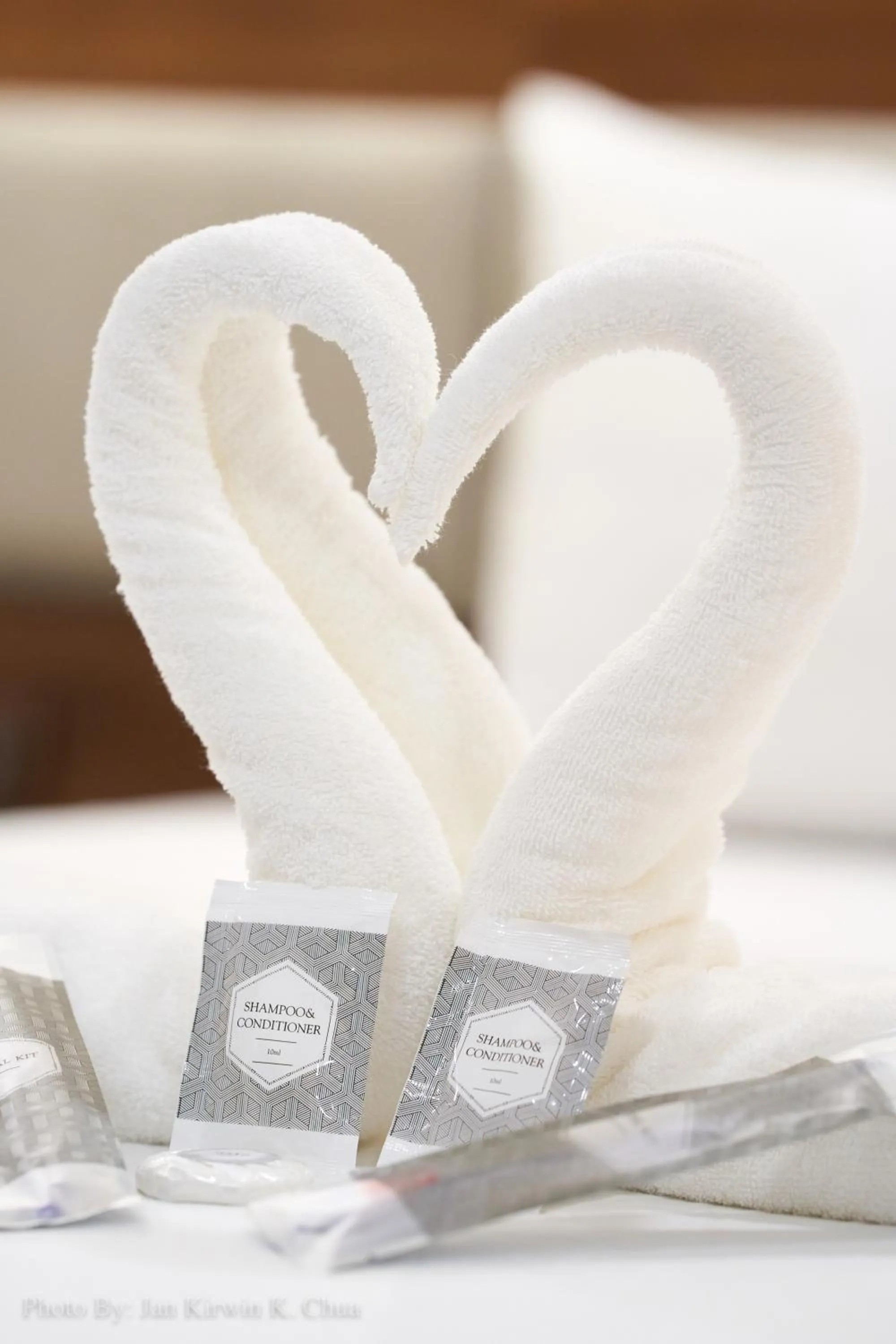 Decorative detail in Griffin Hotel and Suites