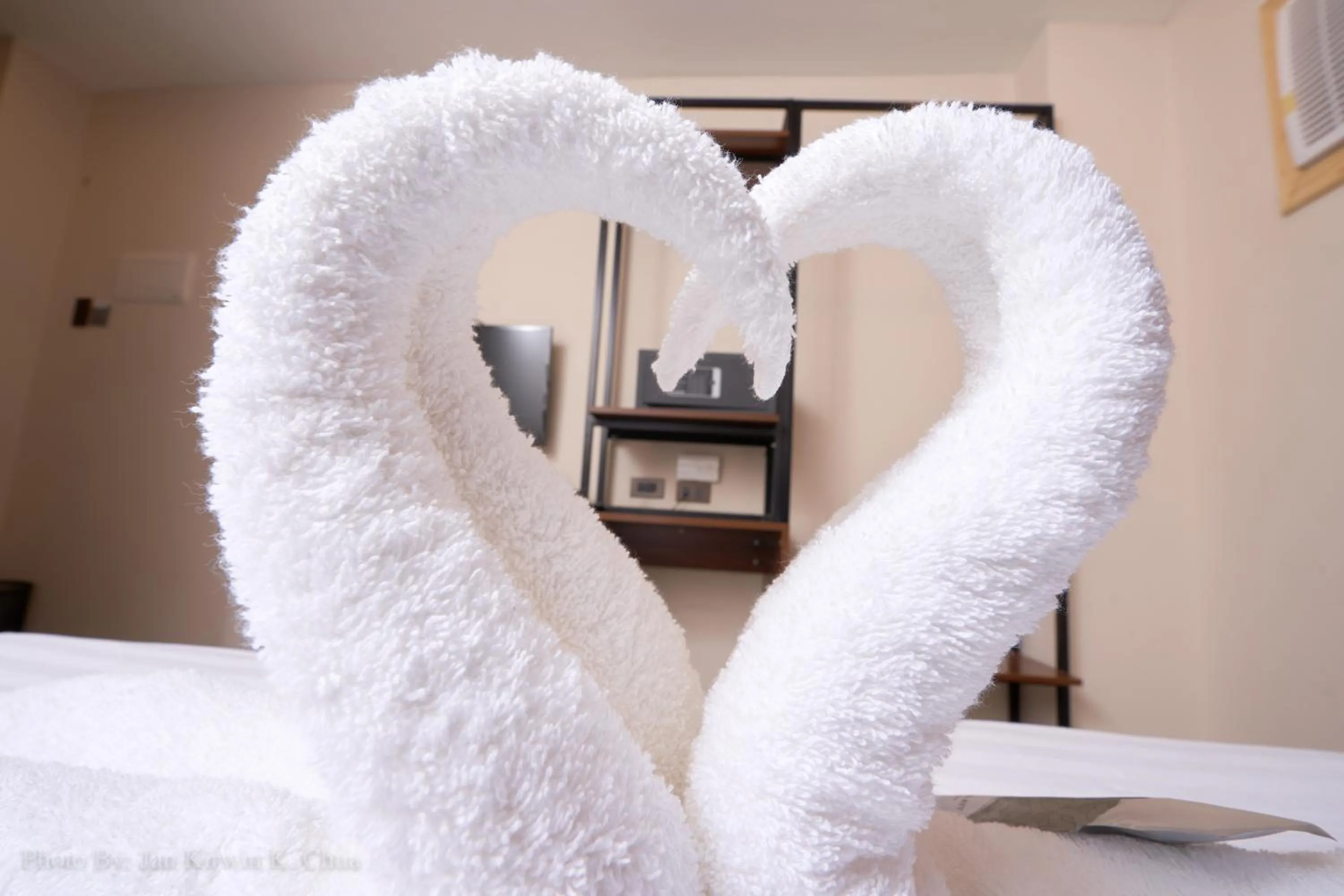 Decorative detail in Griffin Hotel and Suites