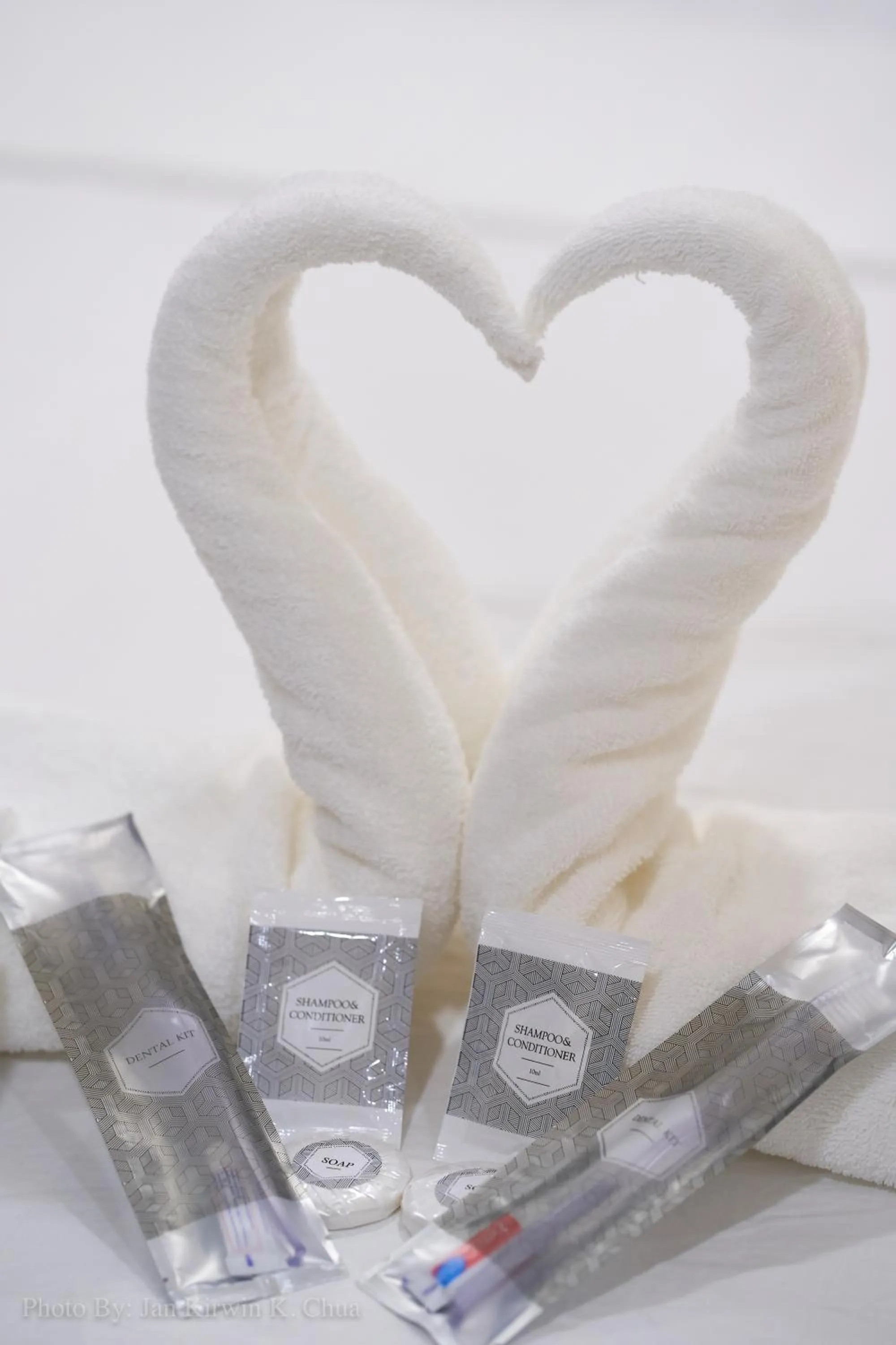 Decorative detail in Griffin Hotel and Suites