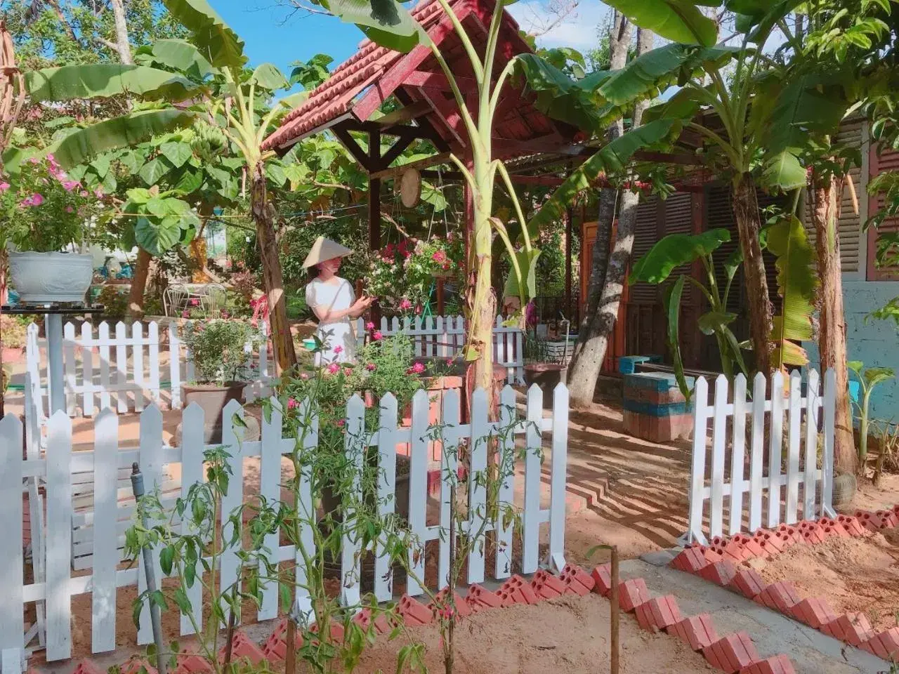 King Room with Garden View - single occupancy in Hue Lotus Homestay King Room with Garden View - single occupancy in Hue Lotus Homestay