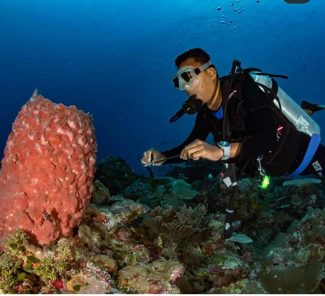 Diving in Marind Dive Eco Resort Wakatobi