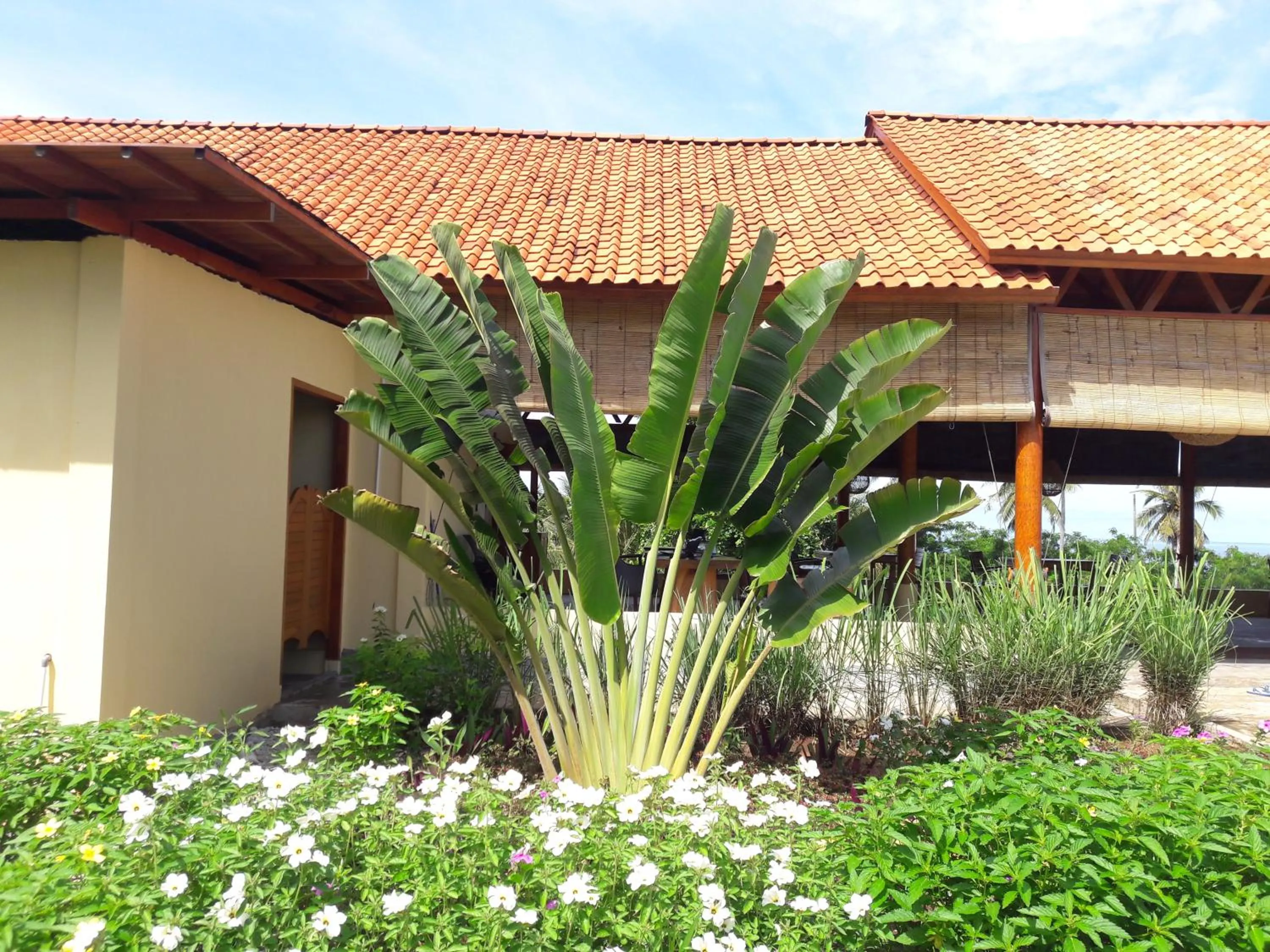 Garden in Marind Dive Eco Resort Wakatobi