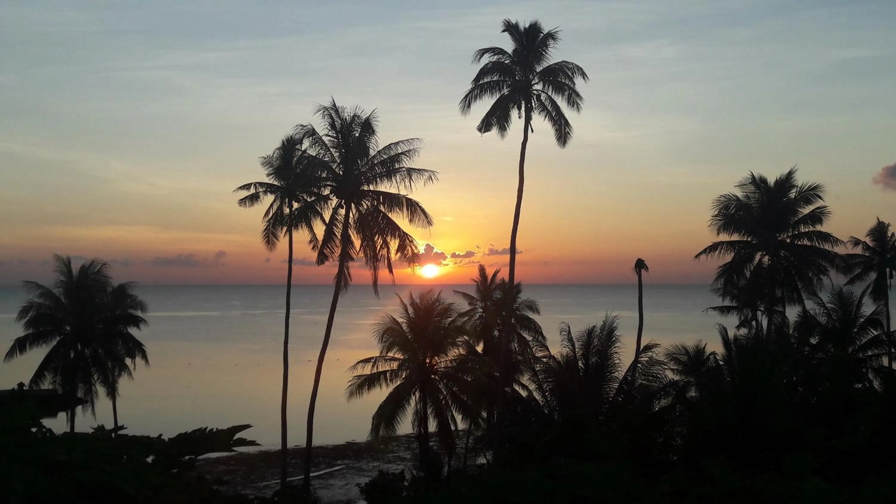 Sea view in Marind Dive Eco Resort Wakatobi