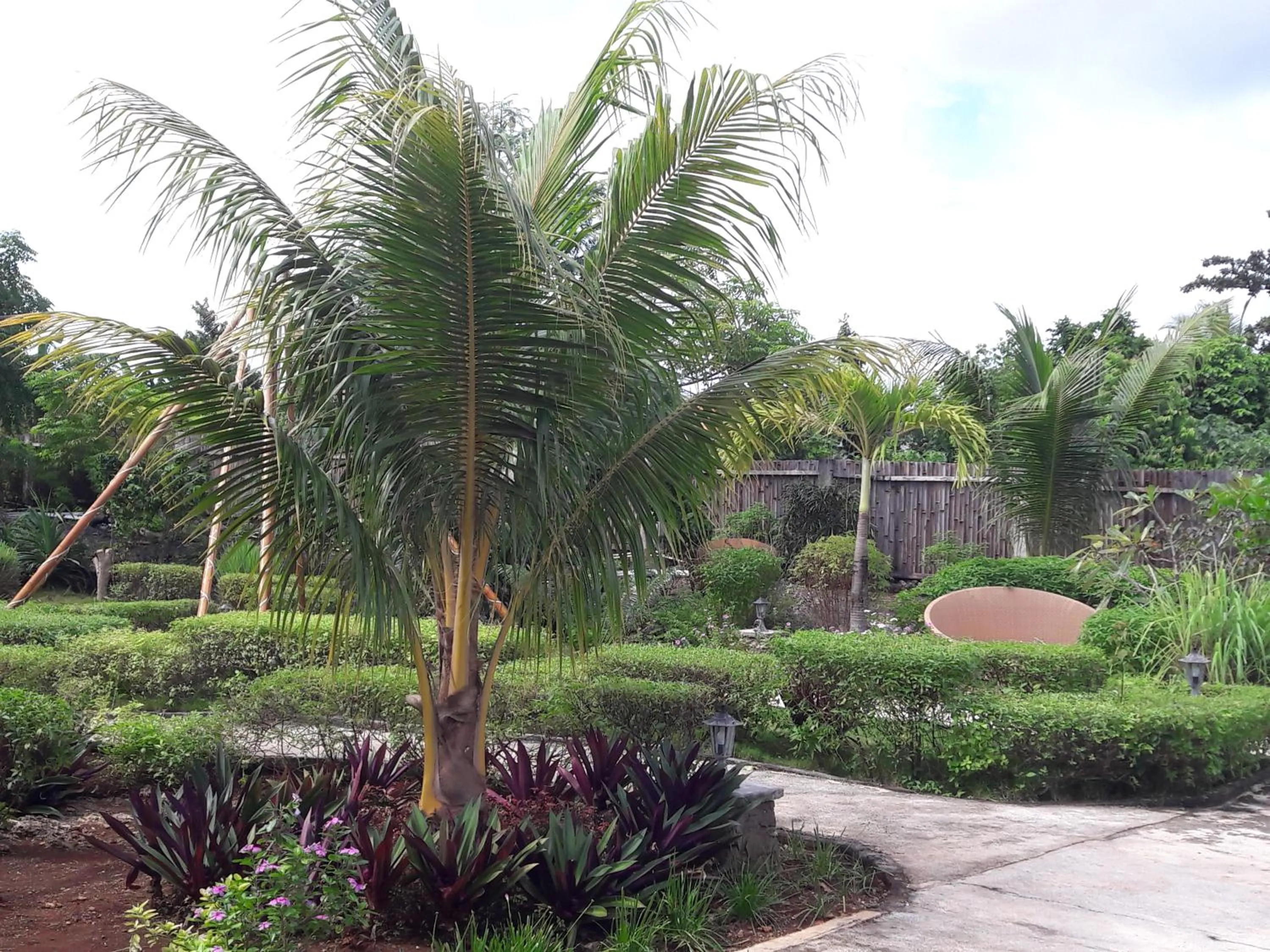 Garden in Marind Dive Eco Resort Wakatobi