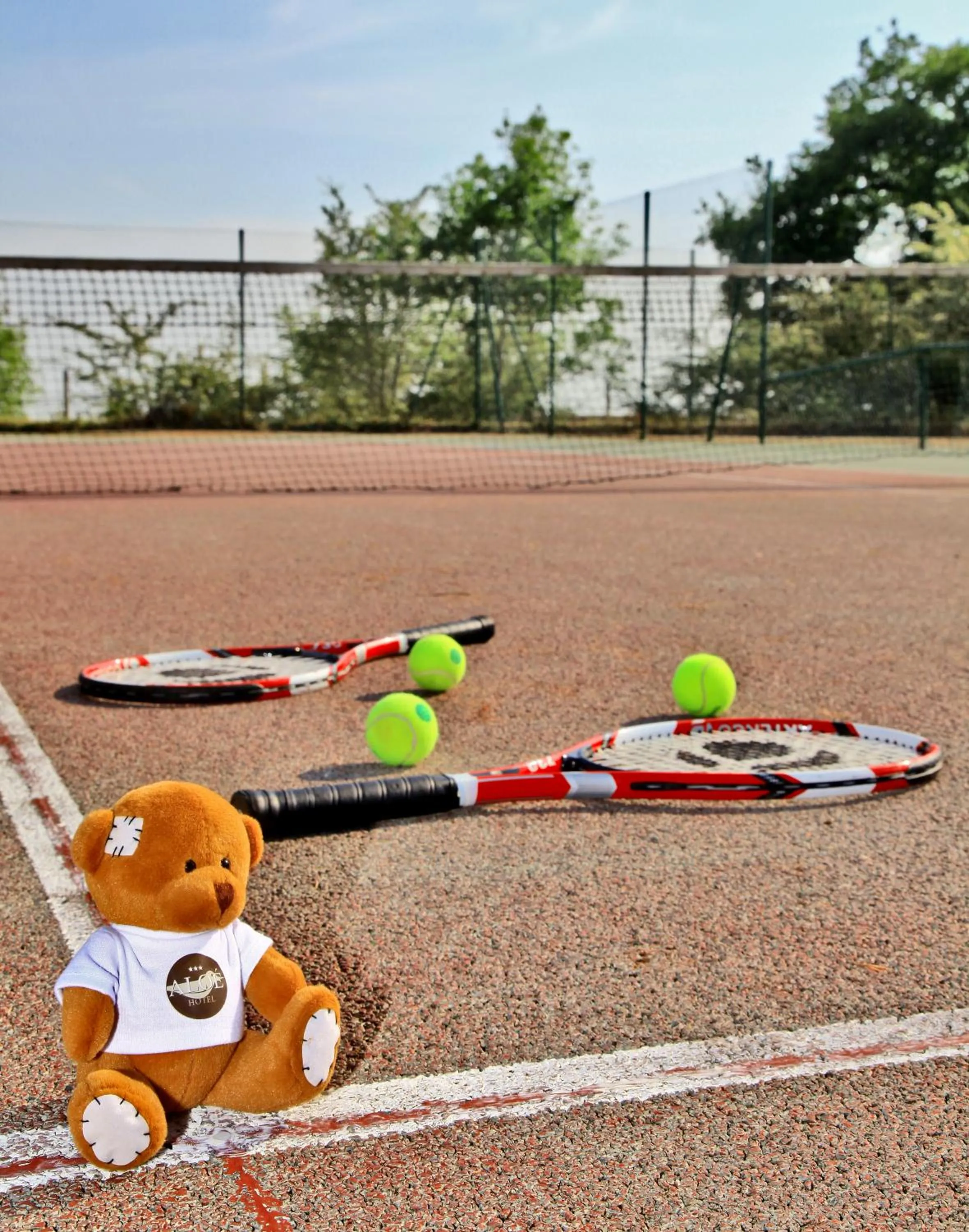 Tennis court in Logis Hôtel Restaurant Aloe