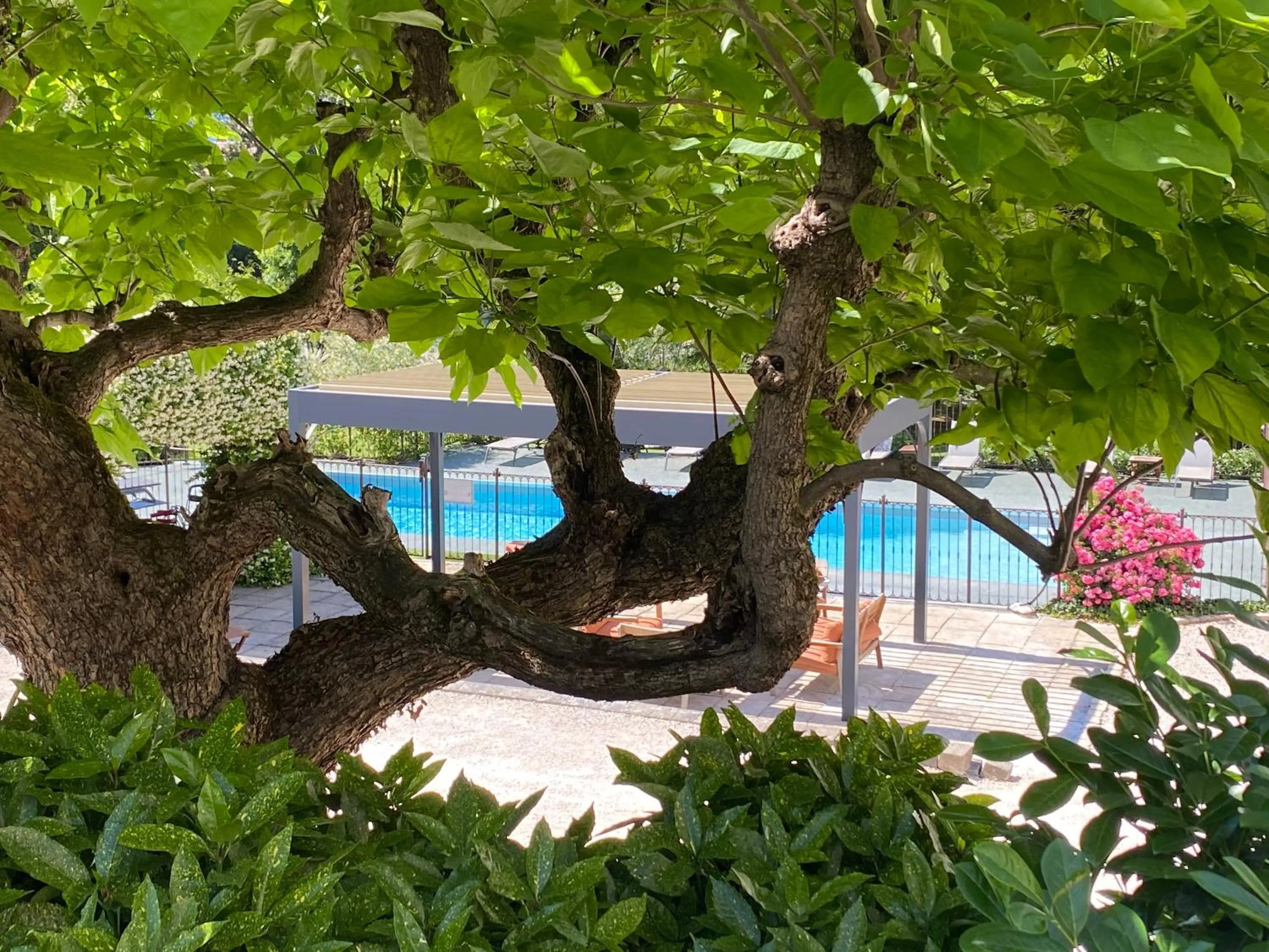 Pool view in Château Hôtel, Restaurant & Spa De La Commanderie