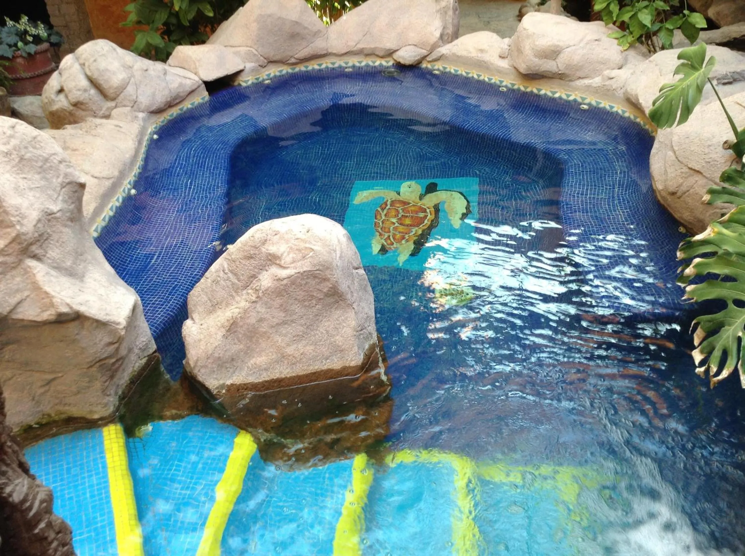 Swimming pool in Hotel el Fuerte