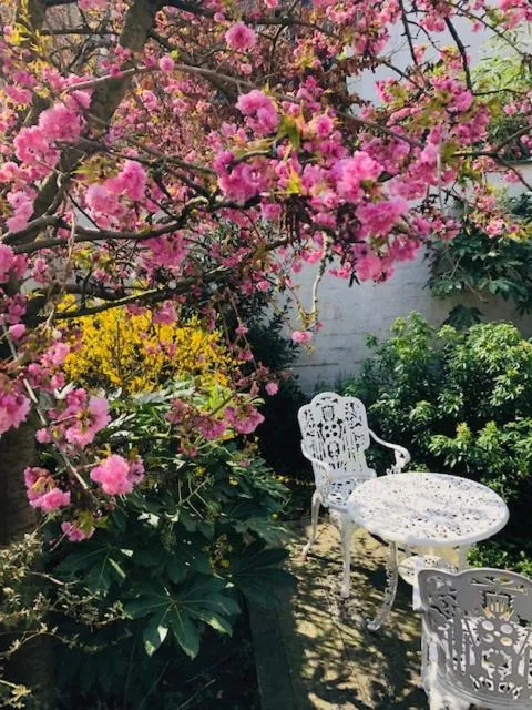 Garden in The Greenhouse