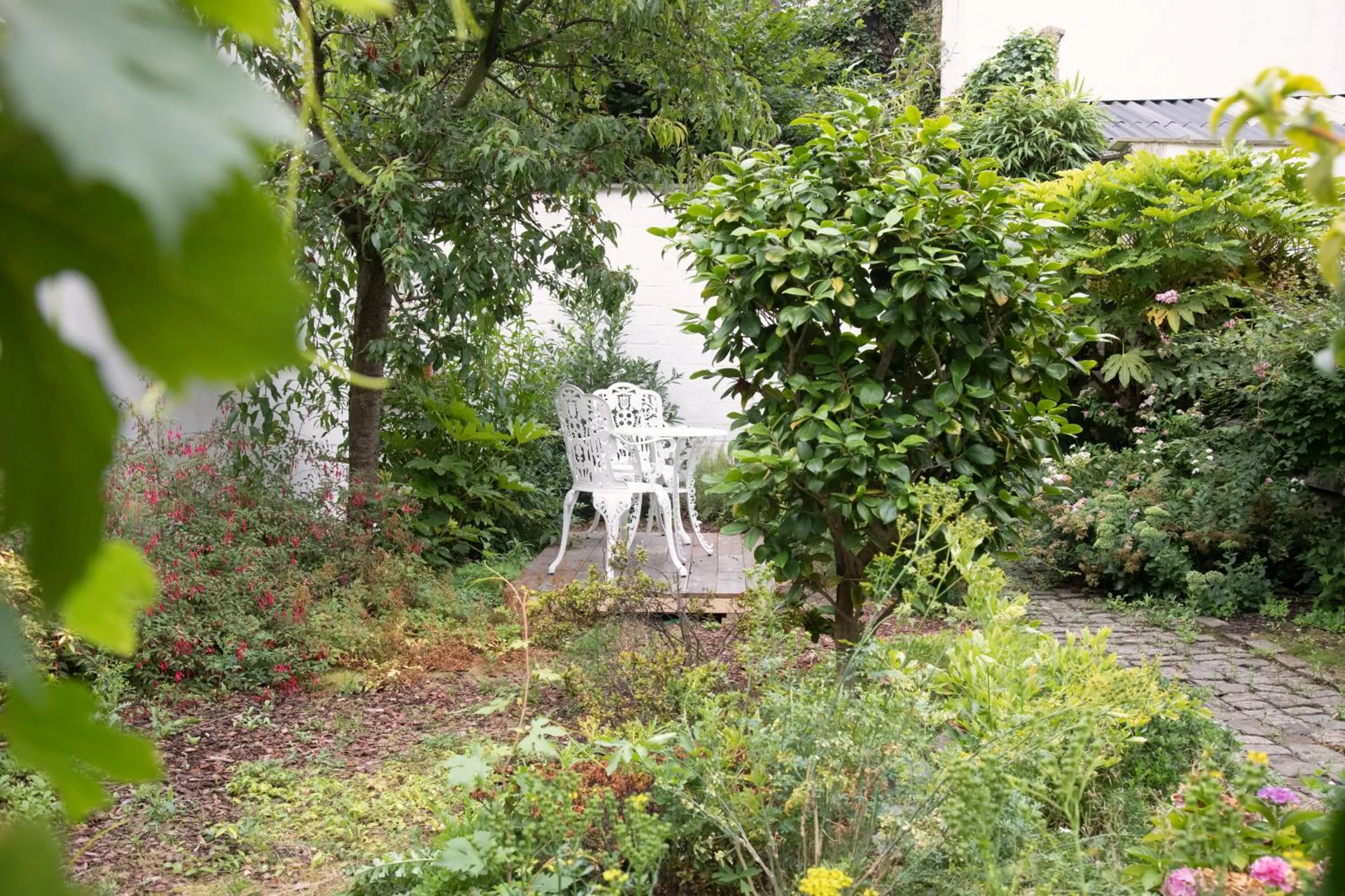 Garden in The Greenhouse