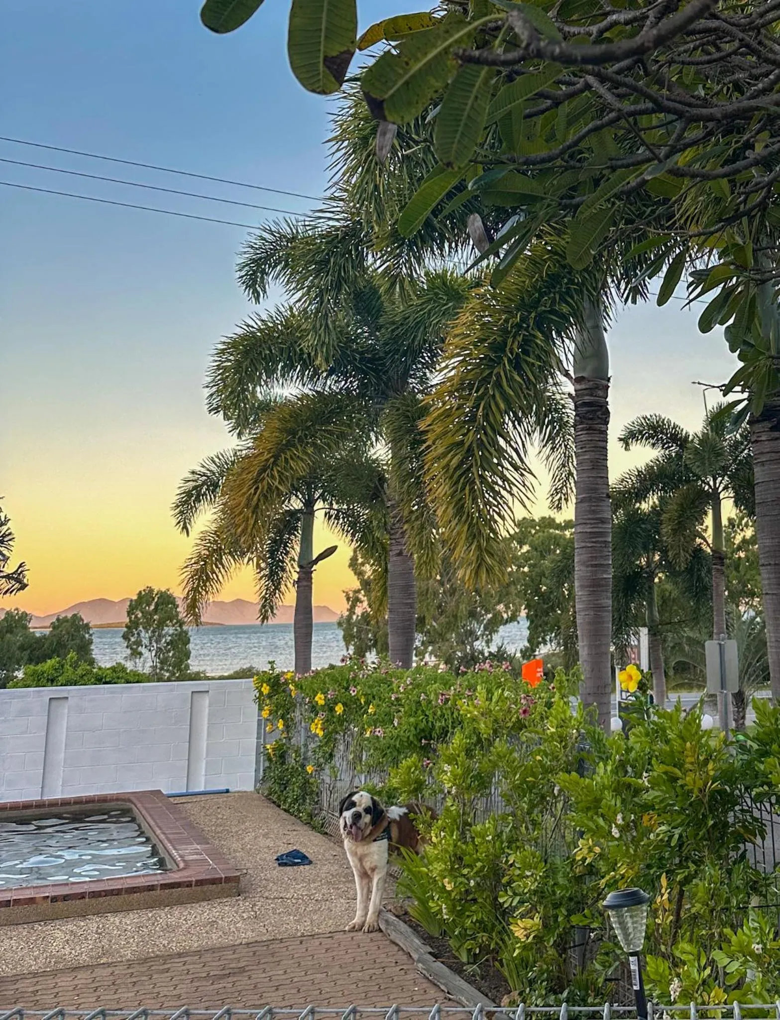 Day in Ocean View Motel Bowen