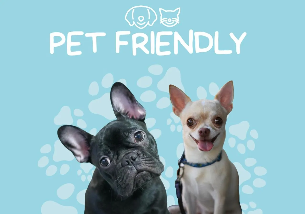 Pets in Ocean View Motel Bowen