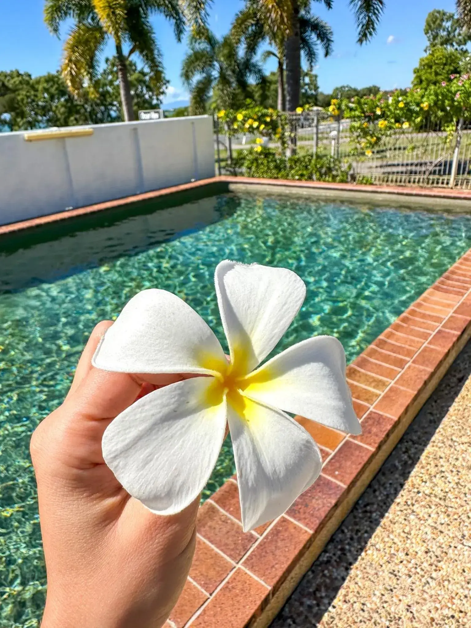 Standard Double Room in Ocean View Motel Bowen Standard Double Room in Ocean View Motel Bowen