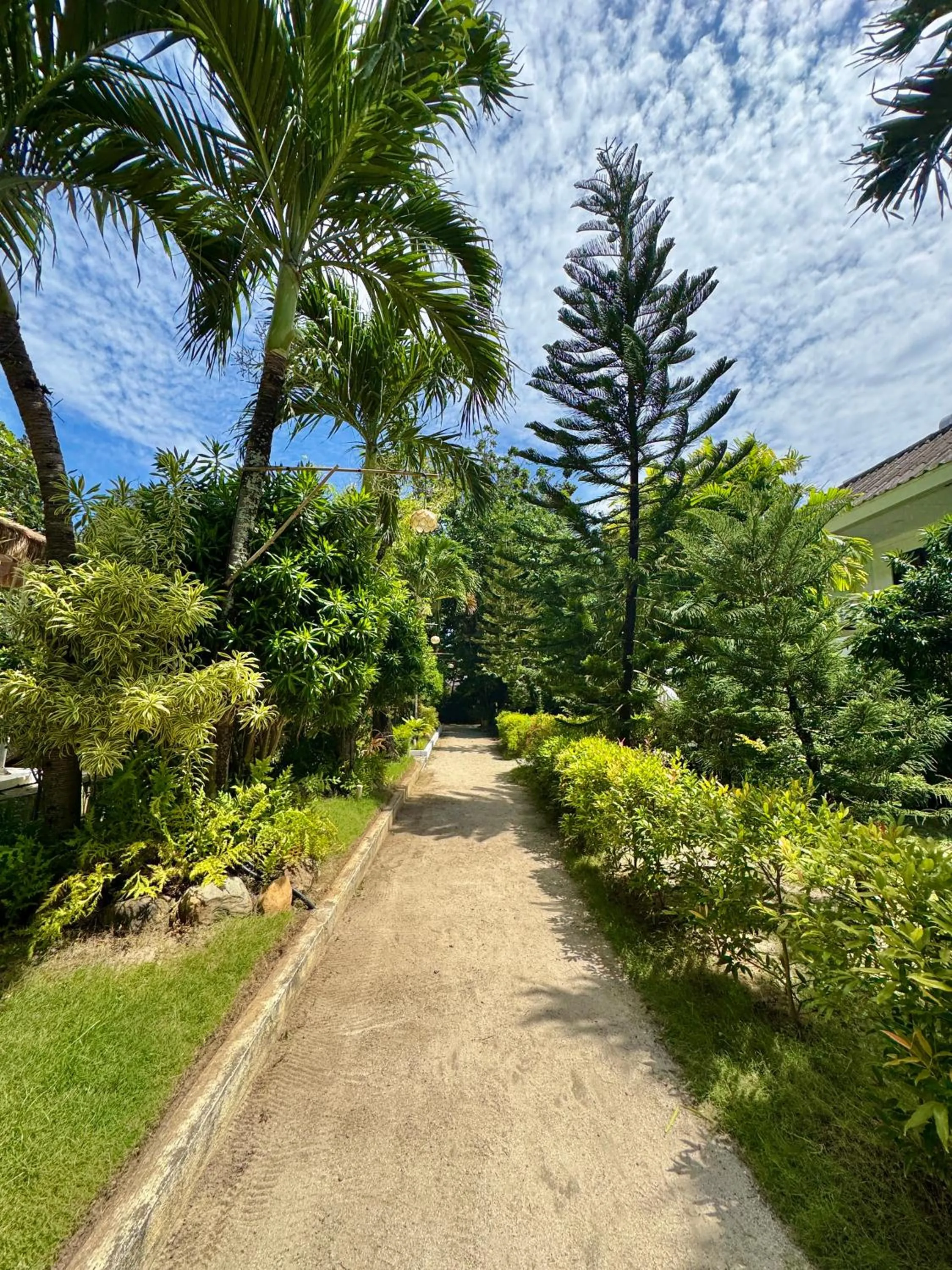 View (from property/room) in Casa Pilar Beach Resort