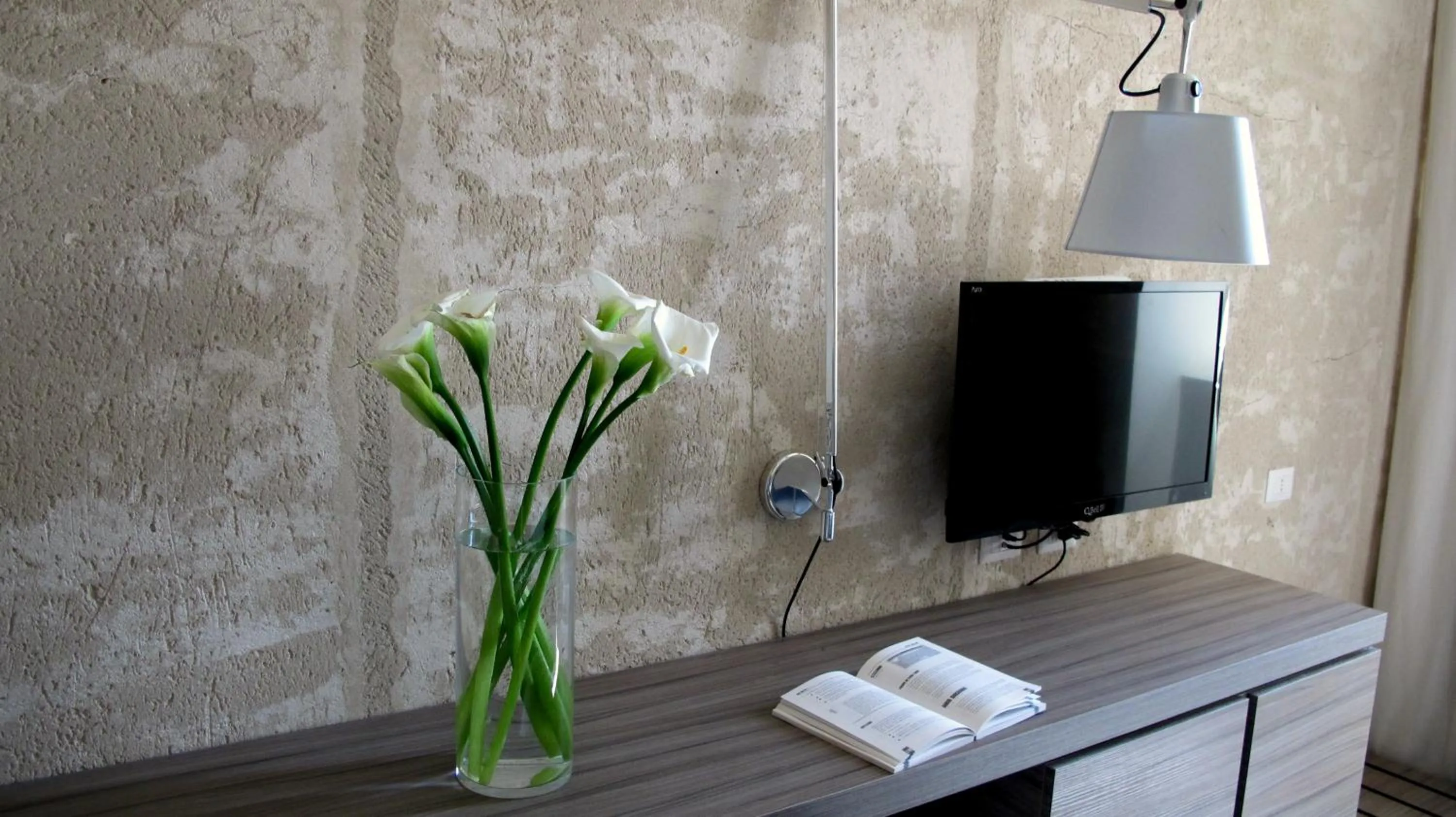 TV and multimedia in Hotel & Resort Le Colombare