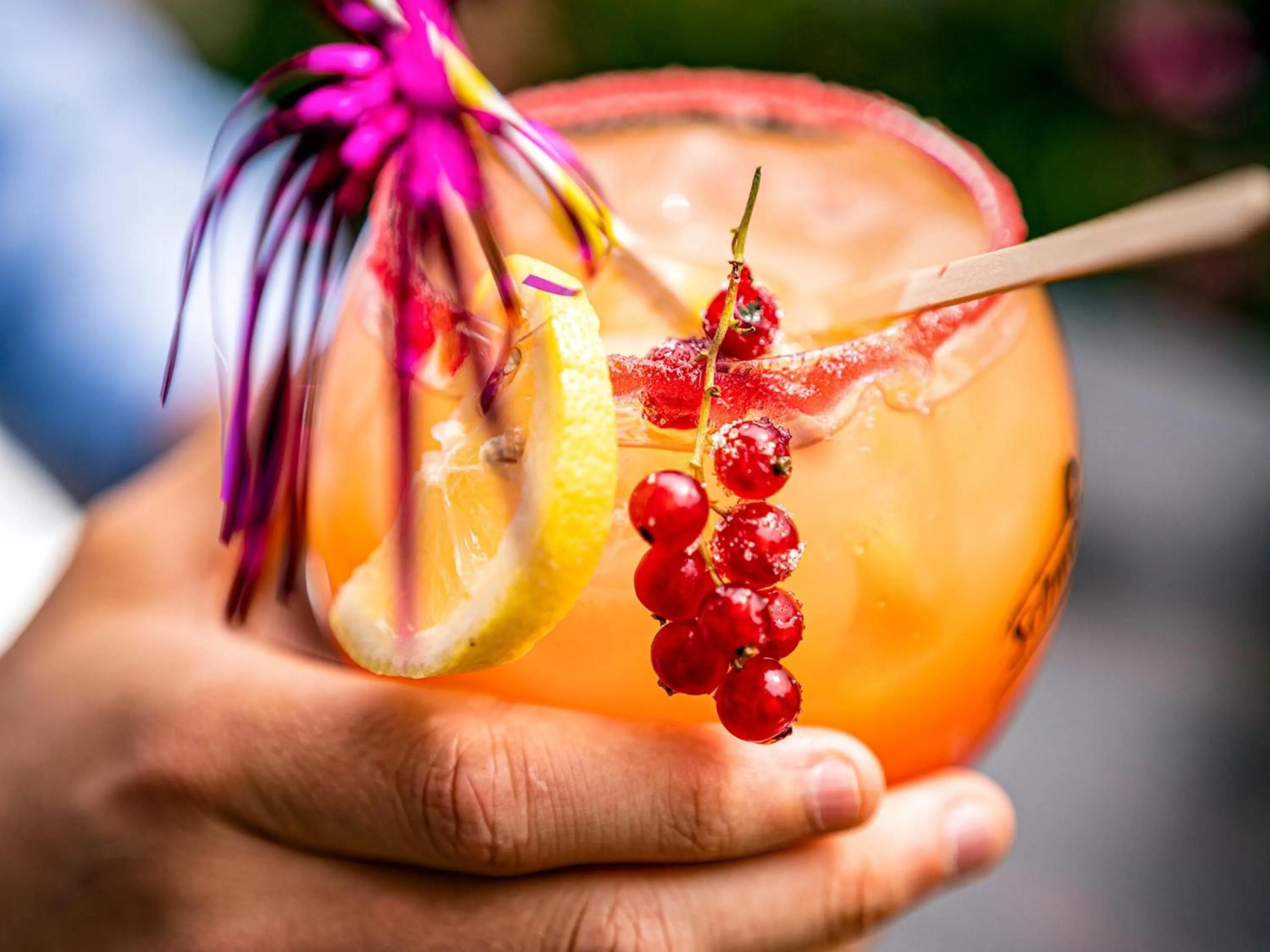 Lounge or bar in ibis Montargis