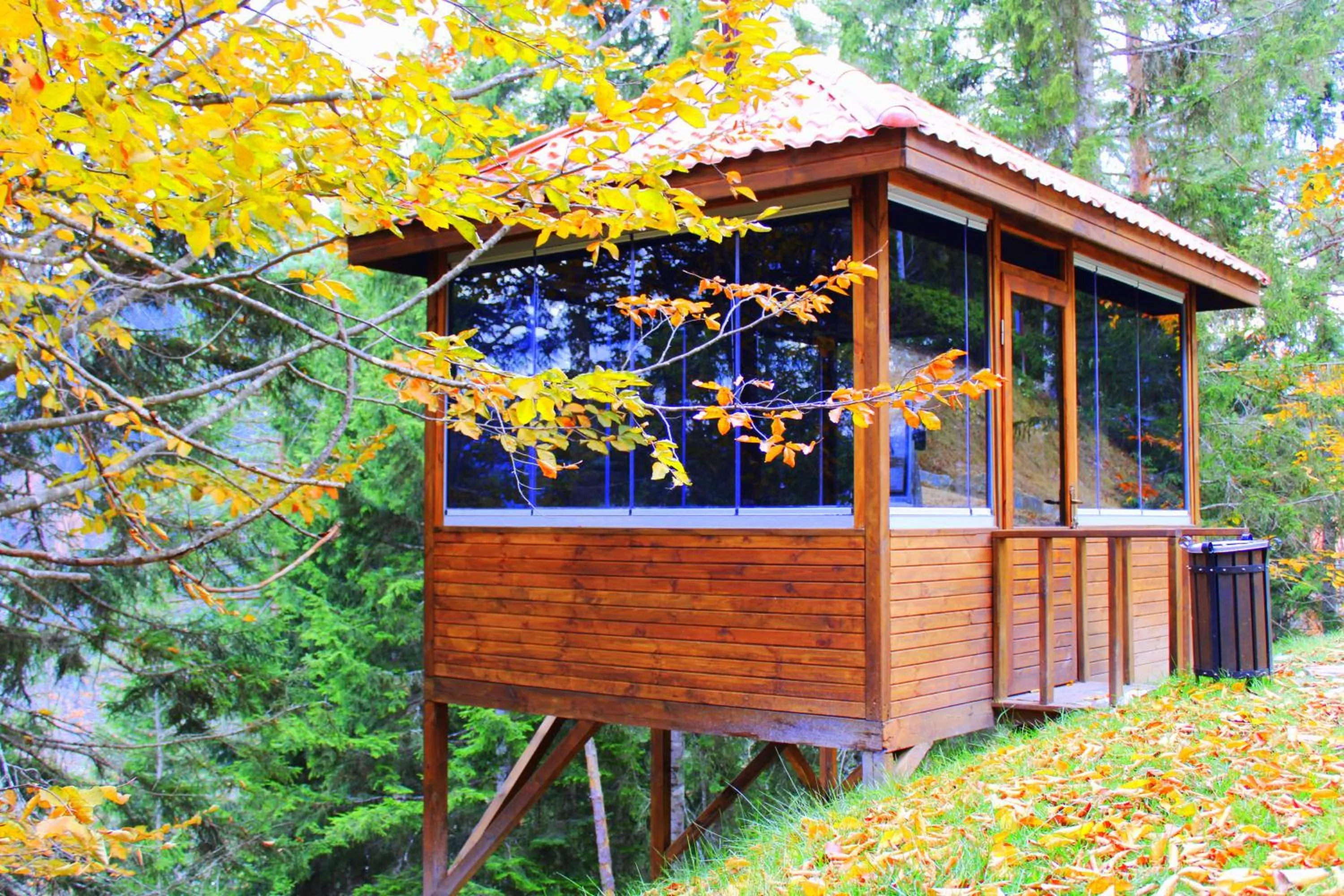Patio in Foleya Mountain Resort Hotel & Villas
