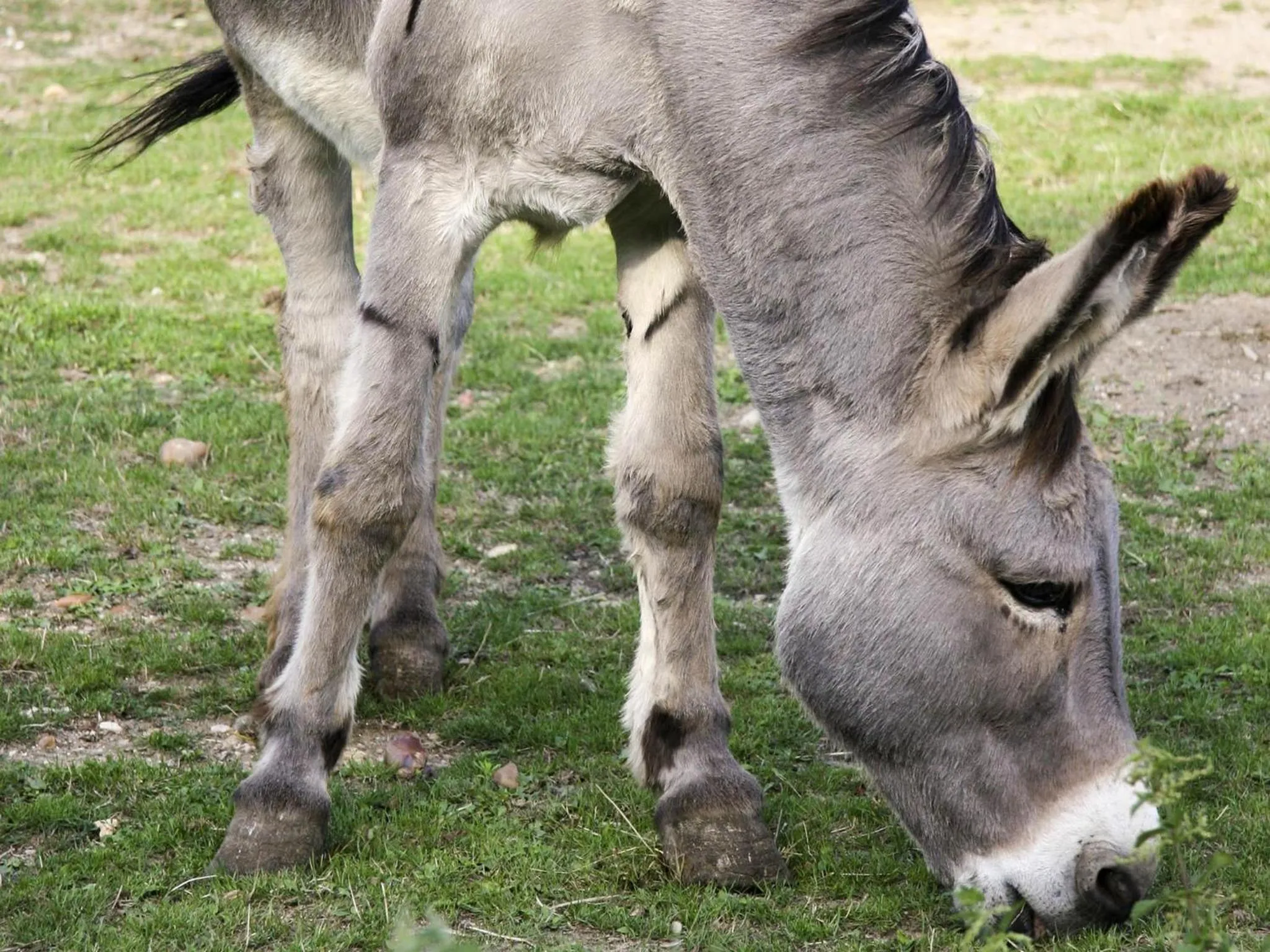Other in ibis Orleans Centre Gare