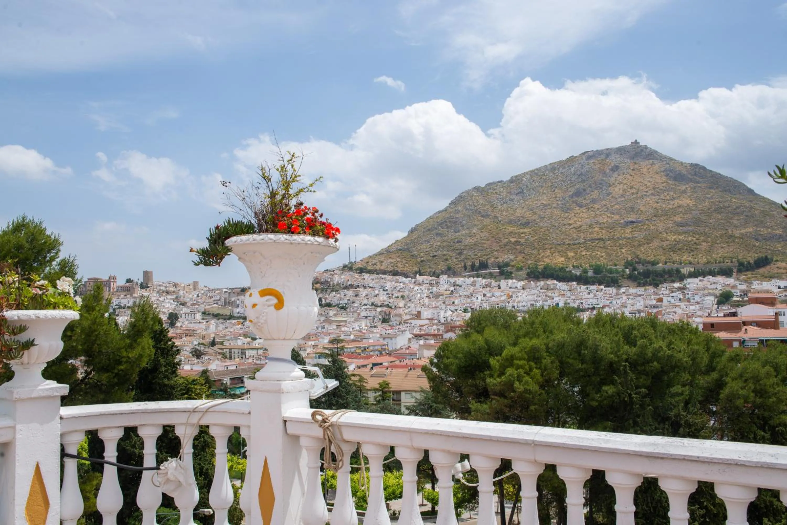 Balcony/Terrace in Hotel Hidalgo