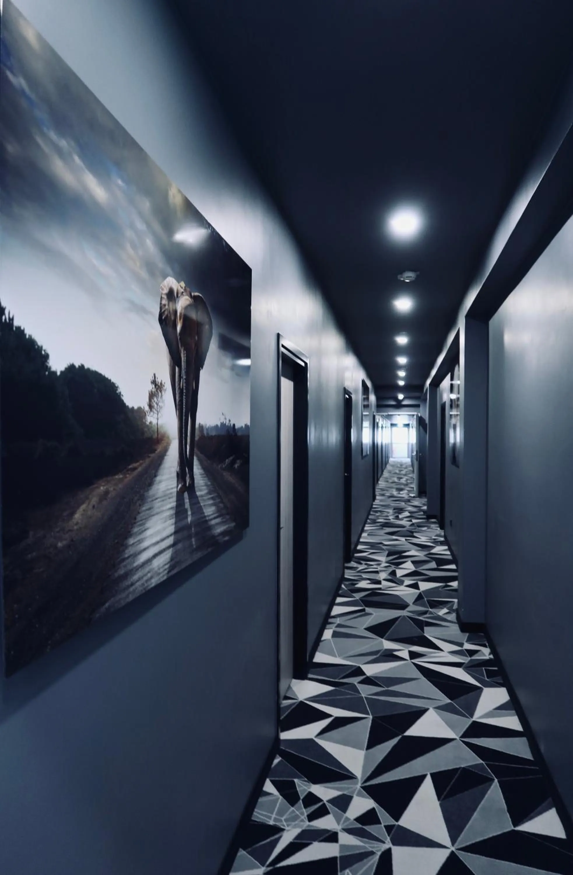 Area and facilities in Libarty Hotels