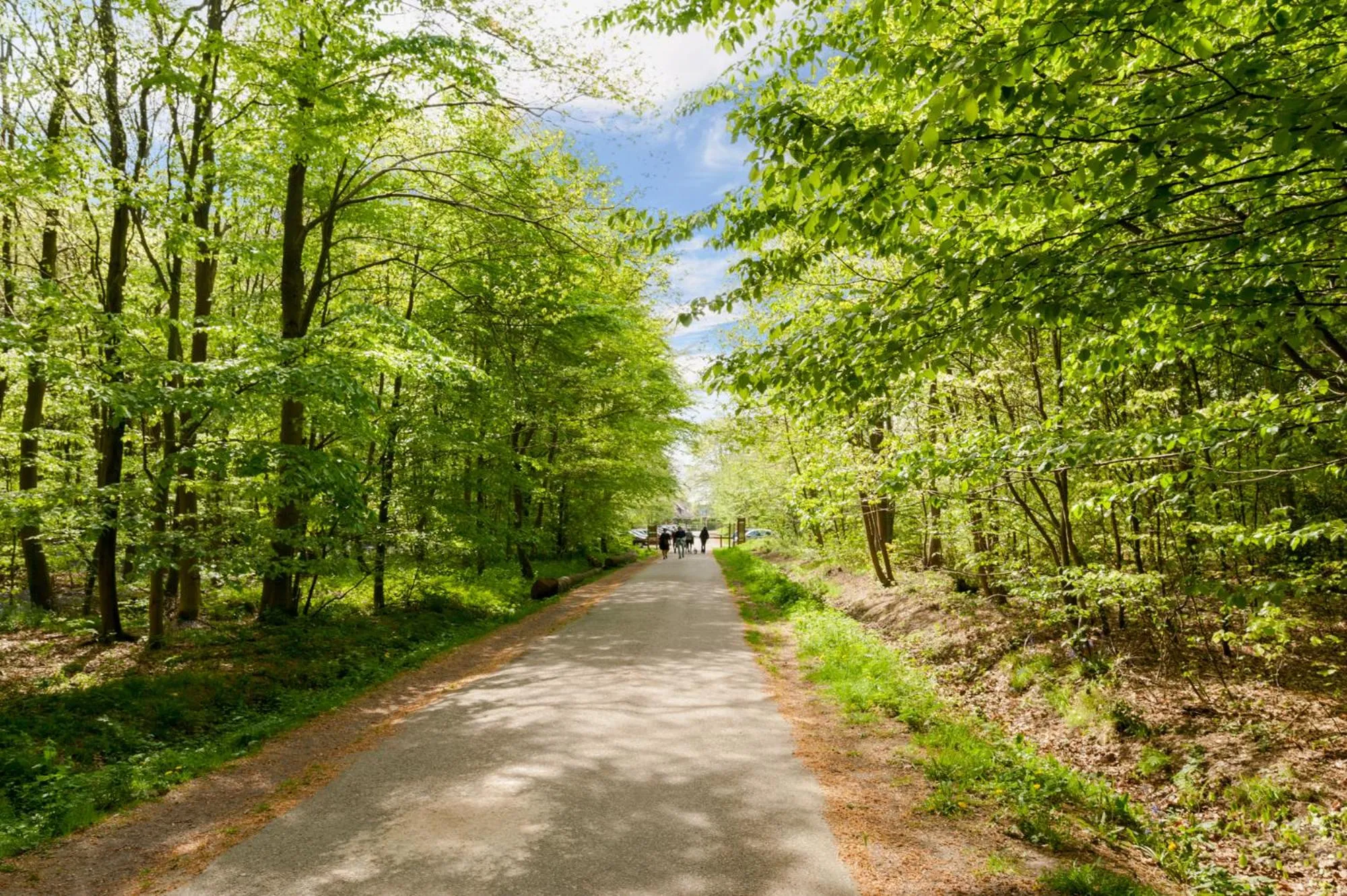 Hiking in The Originals City, Hôtel Éden, Rouen Nord