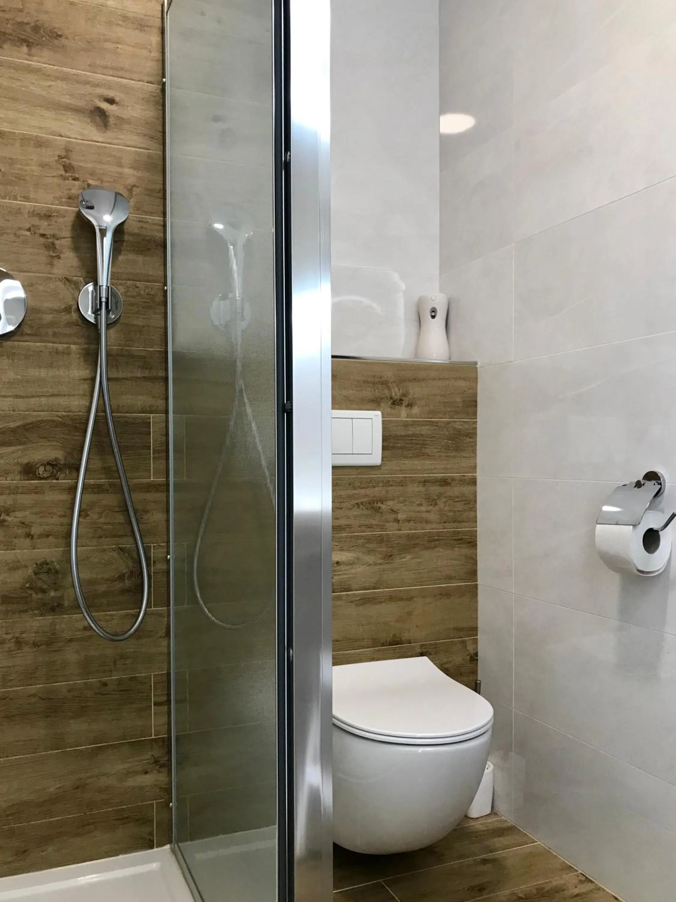 Shower in Apartmán Dagmar