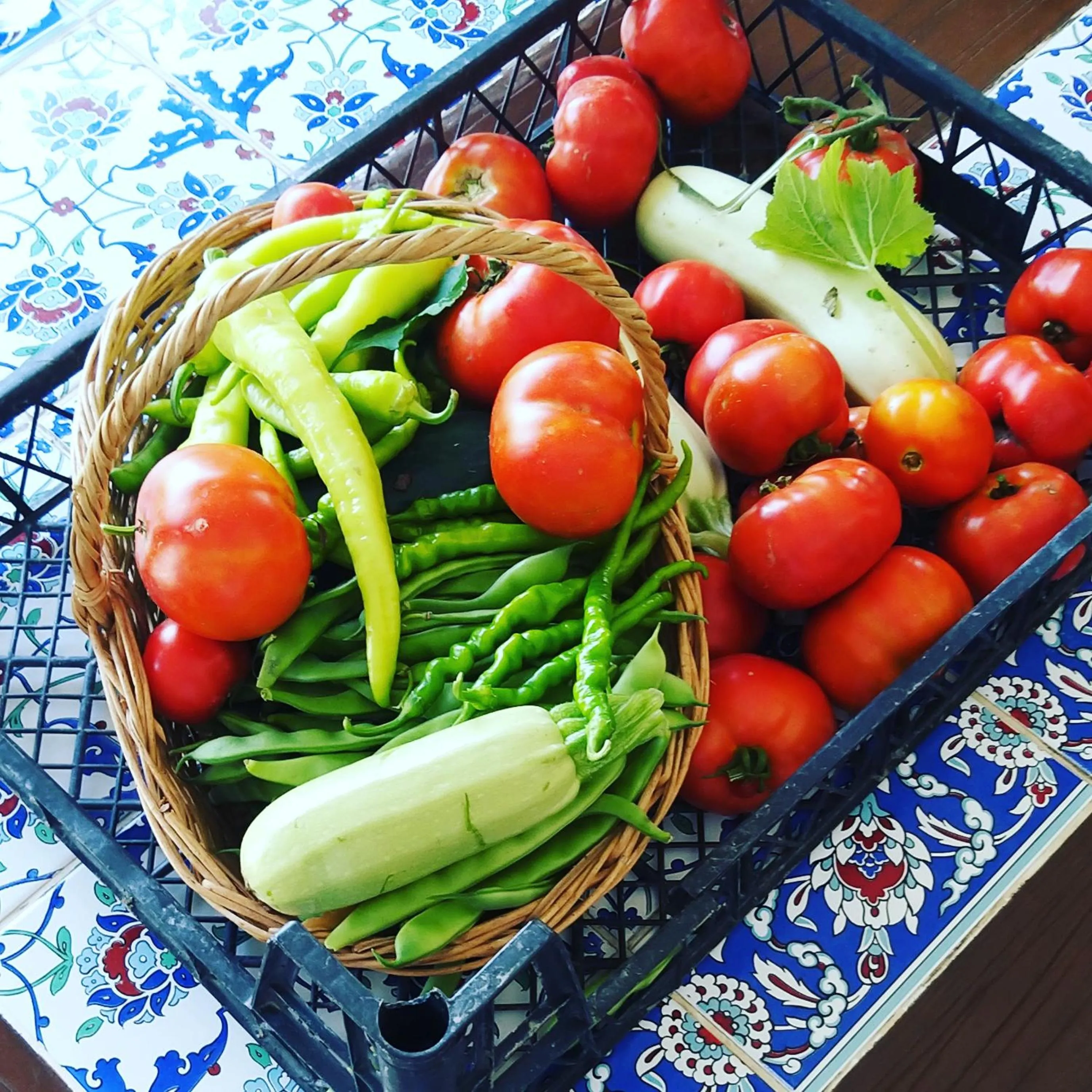 Rif Sapanca - Adult Only