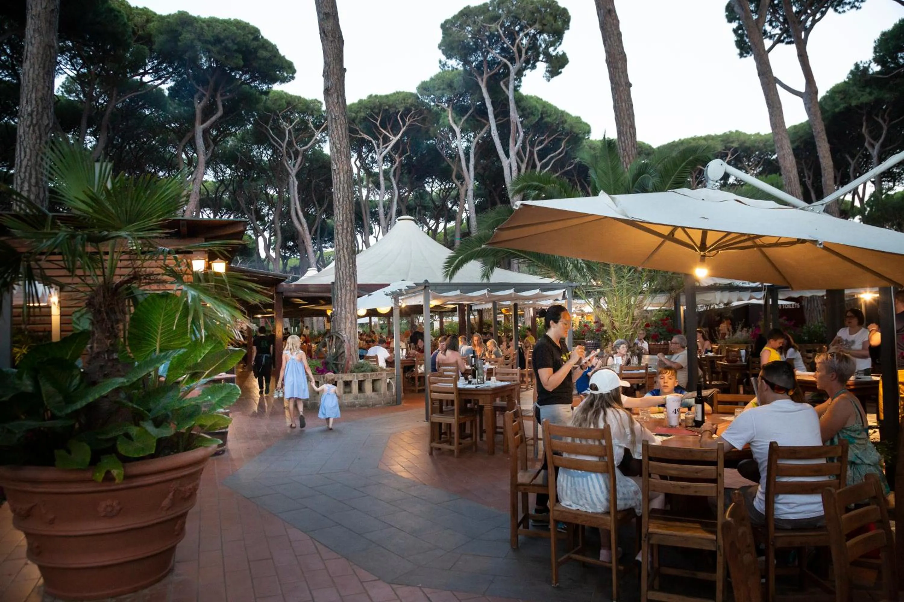 Restaurant/places to eat in Hotel Il Mulinaccio