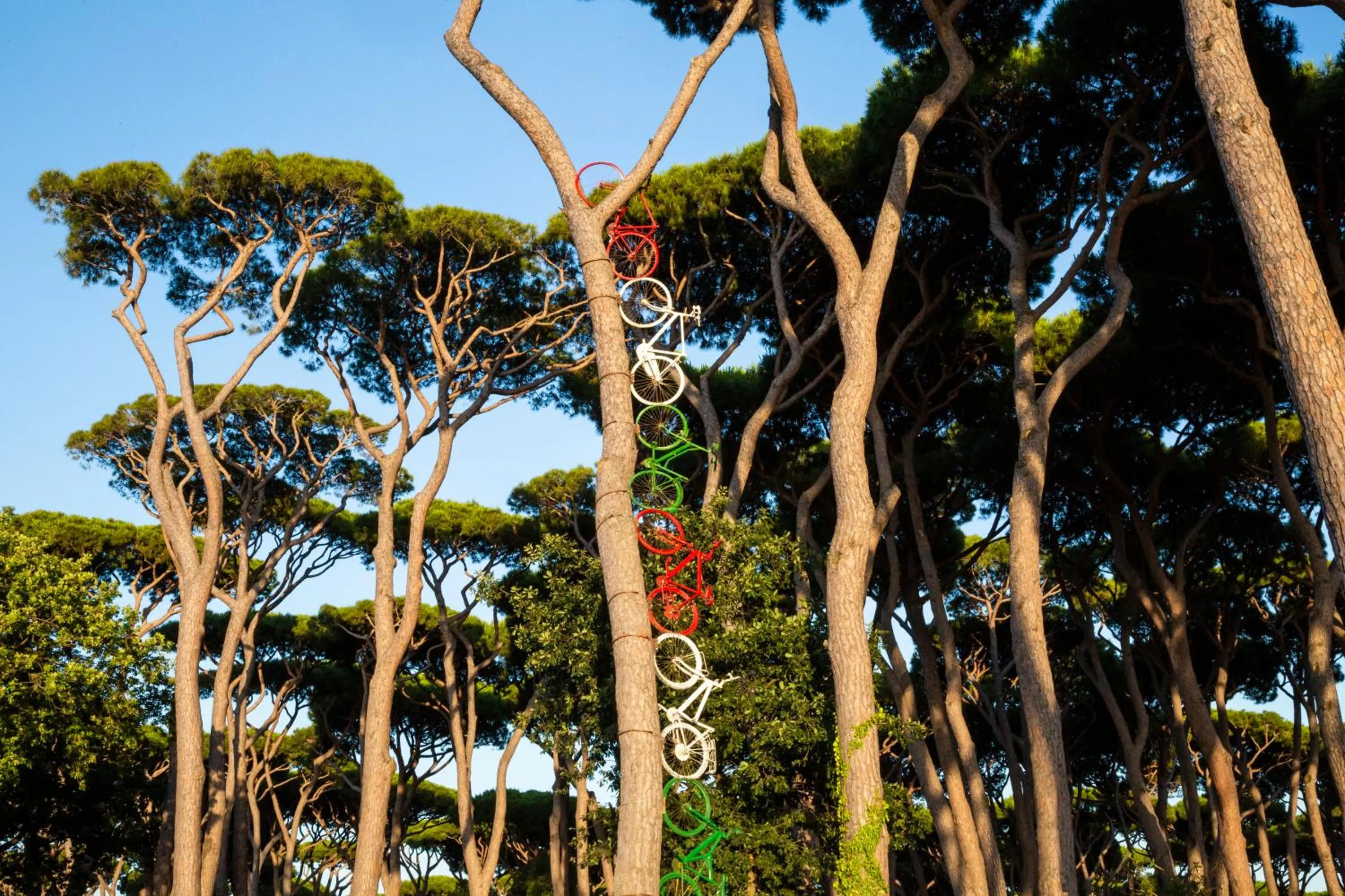 Off site in Hotel Il Mulinaccio