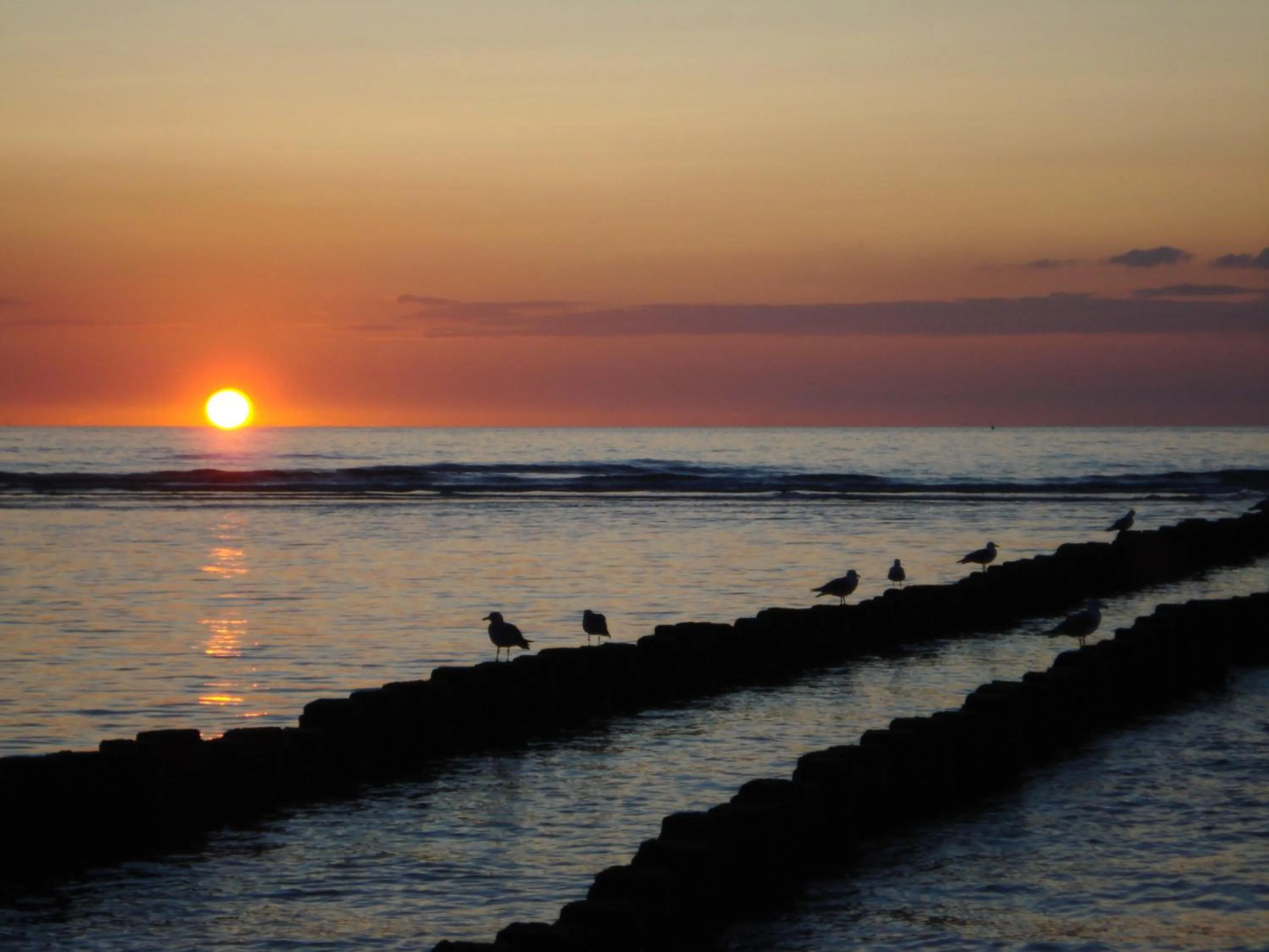 Beach in de Duinroos