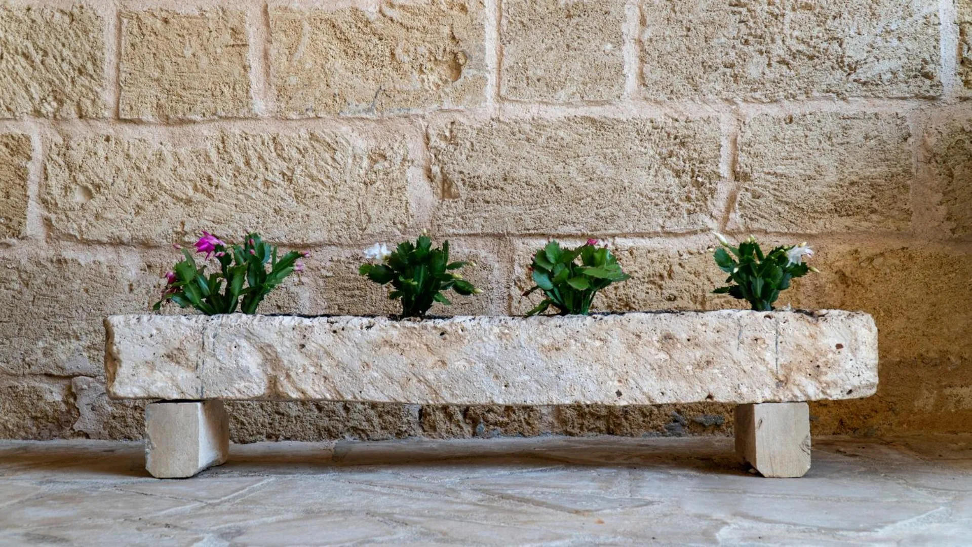 Patio in B&B La vecchia Corte