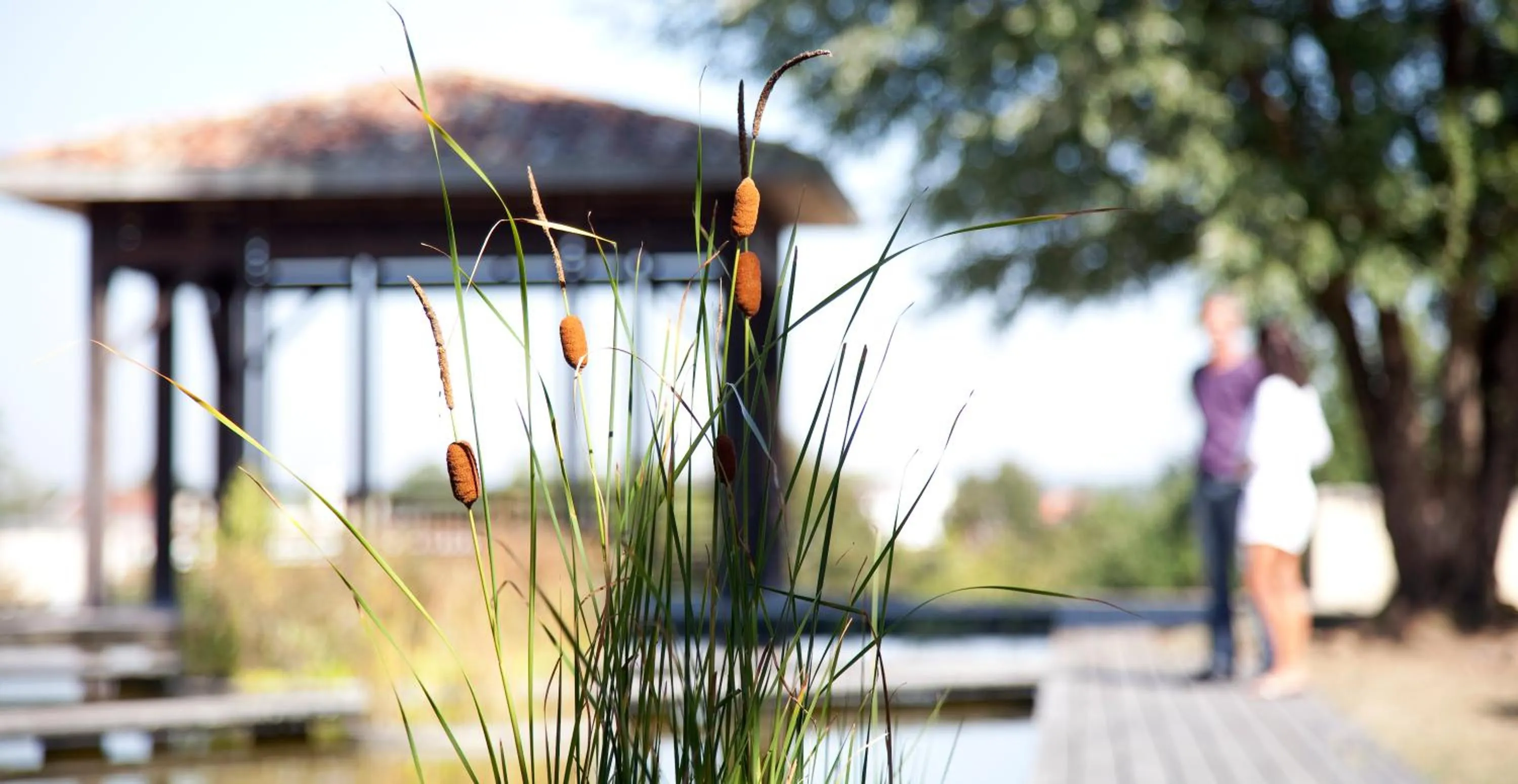Garden view in Résidence Les Vignes