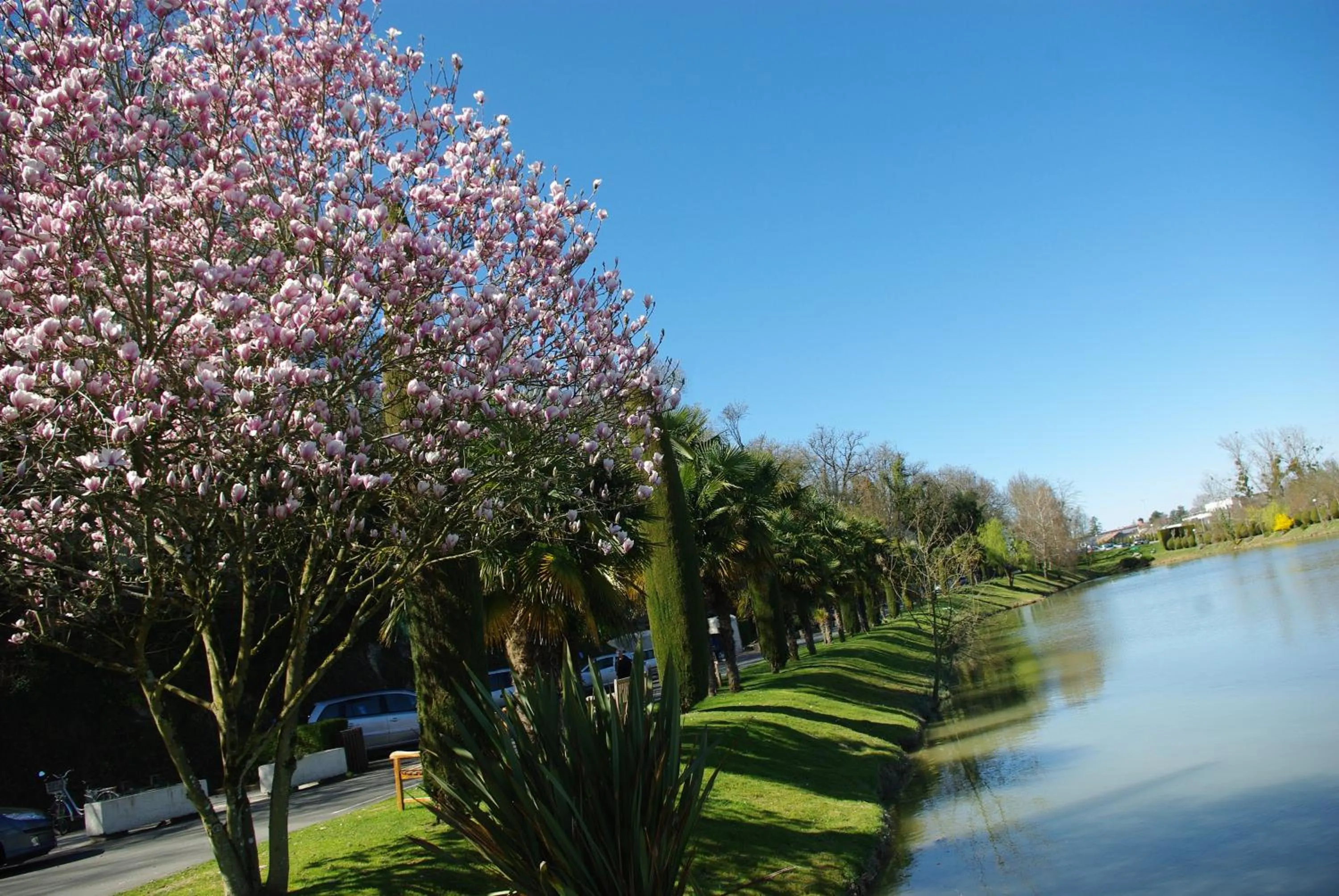 Nearby landmark in Résidence Les Vignes