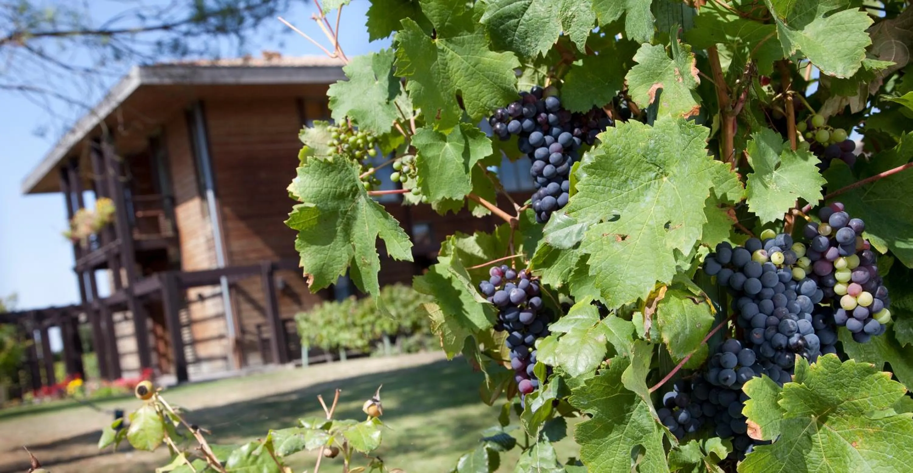 Facade/entrance in Résidence Les Vignes