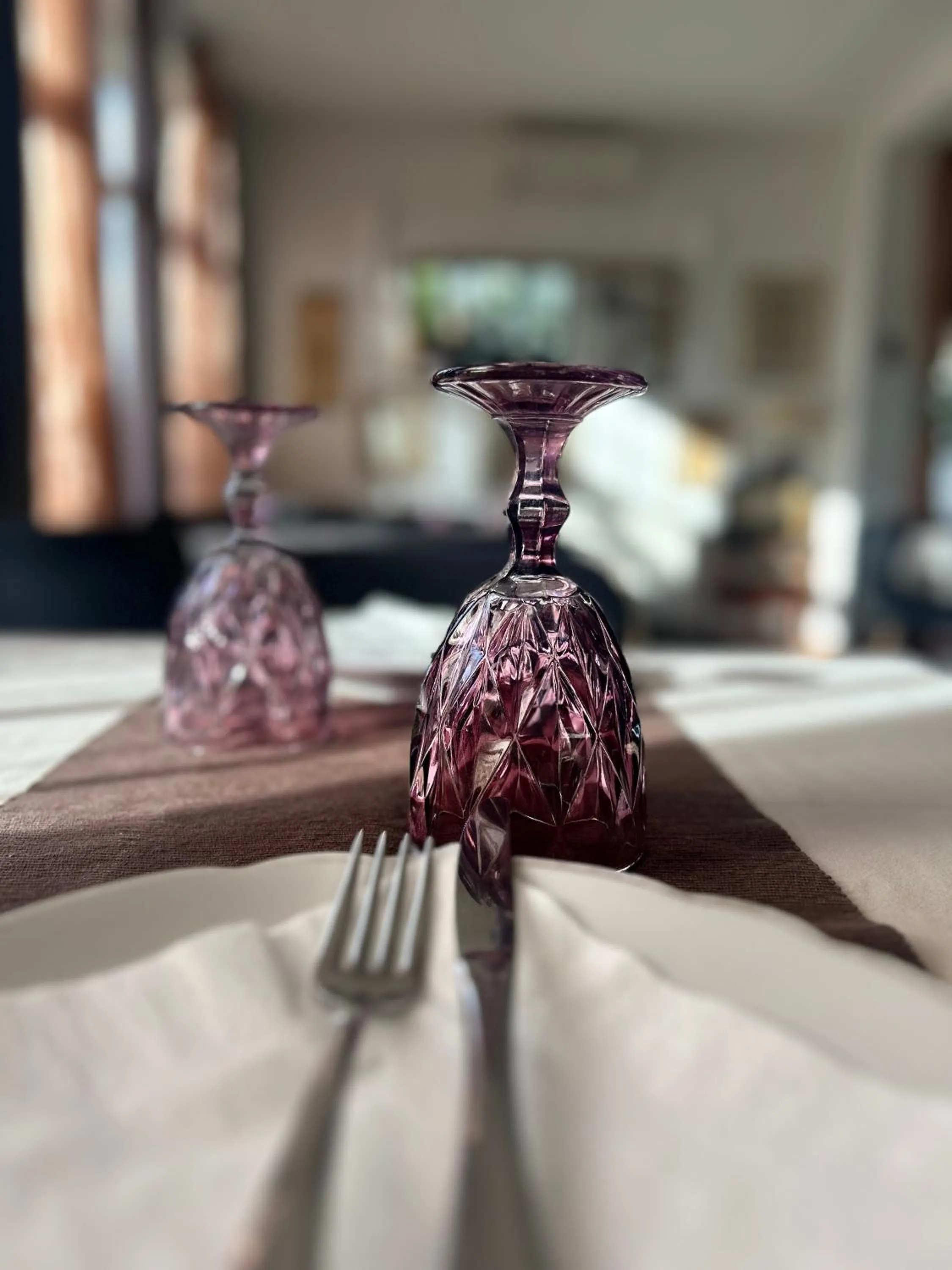 Dining area in Vila Vanda Vukovar