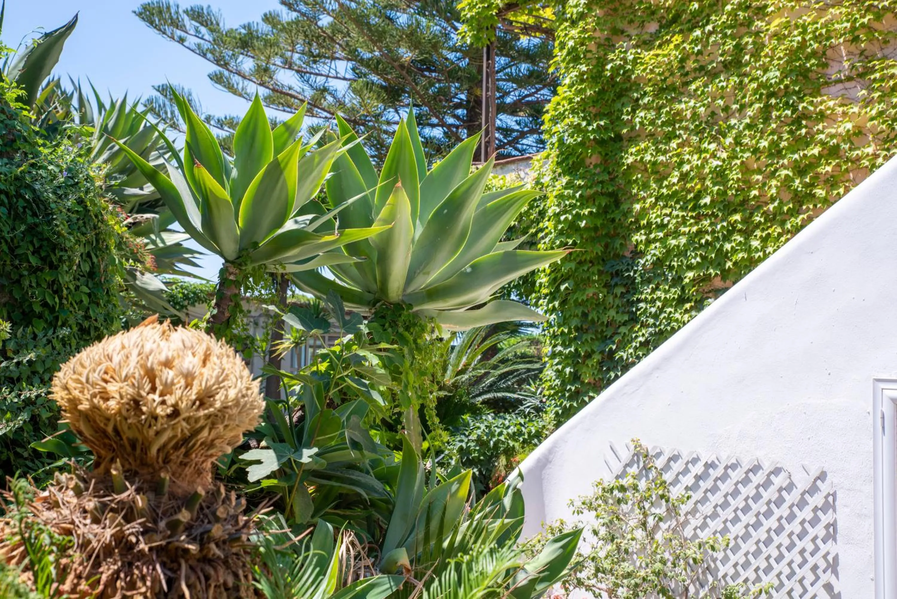 Hotel Villa Melodie - Adults Only