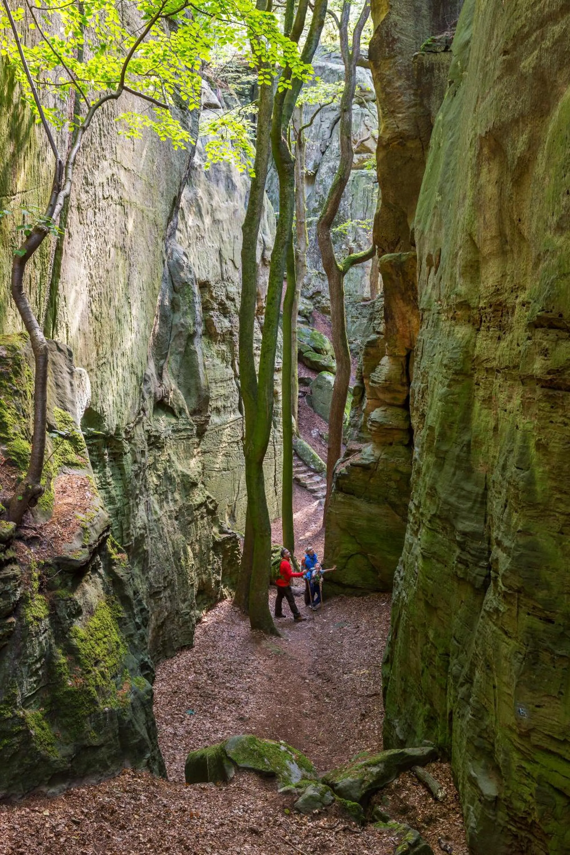 Nearby landmark in Hotel Bon Repos