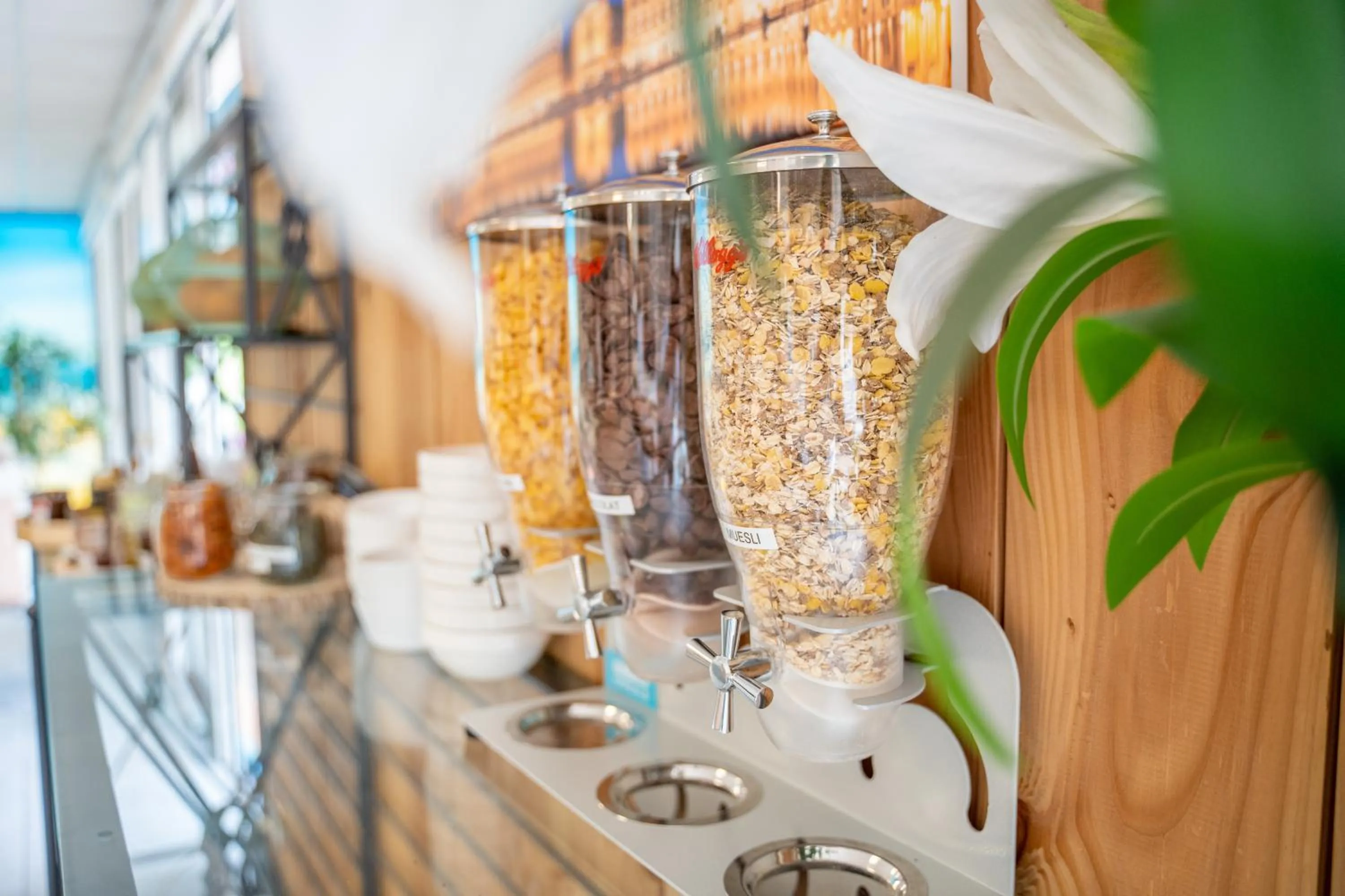 Restaurant/places to eat in Kyriad Direct Bordeaux Sud Cestas