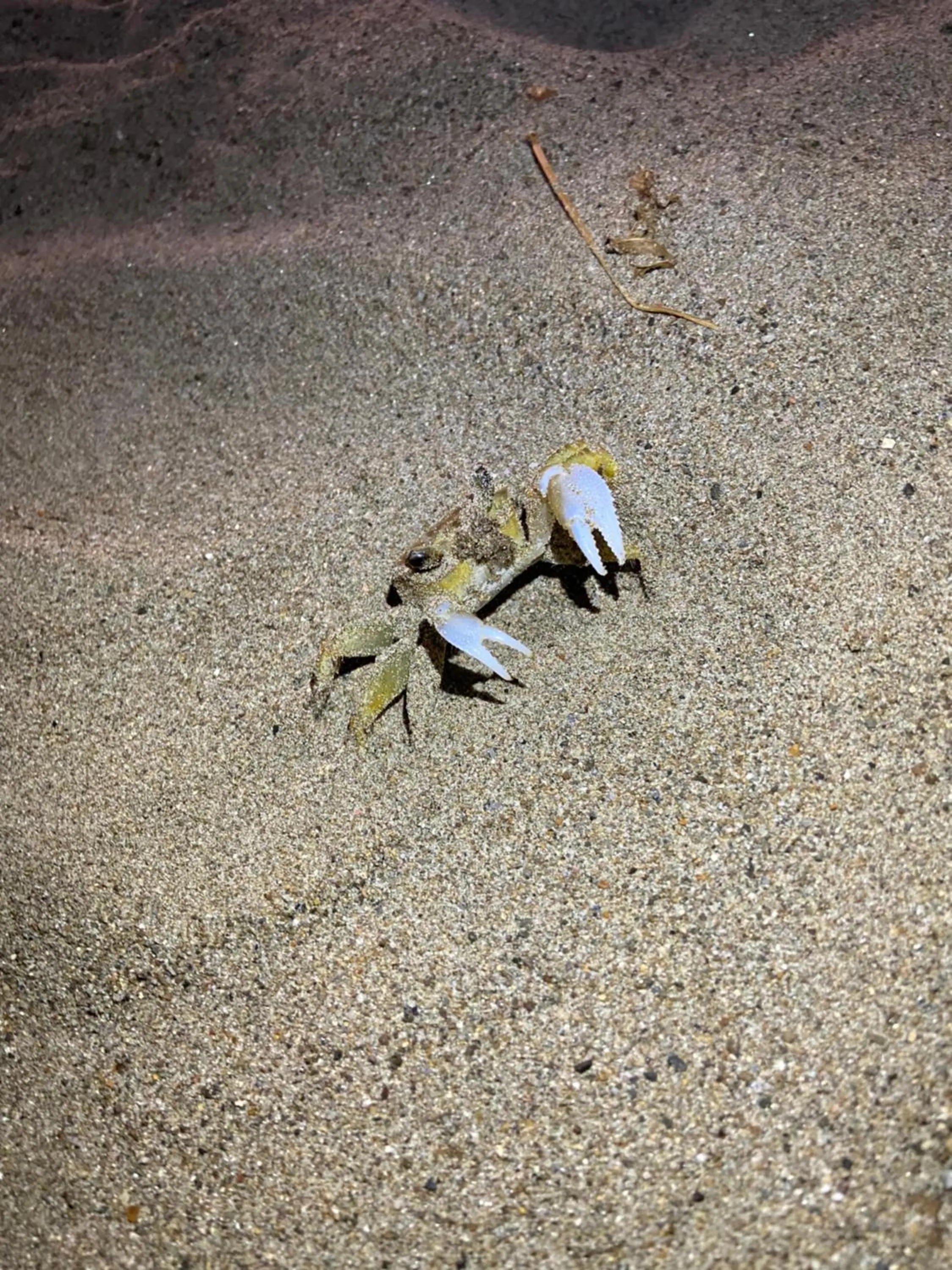 Off site in Rejens Hotel