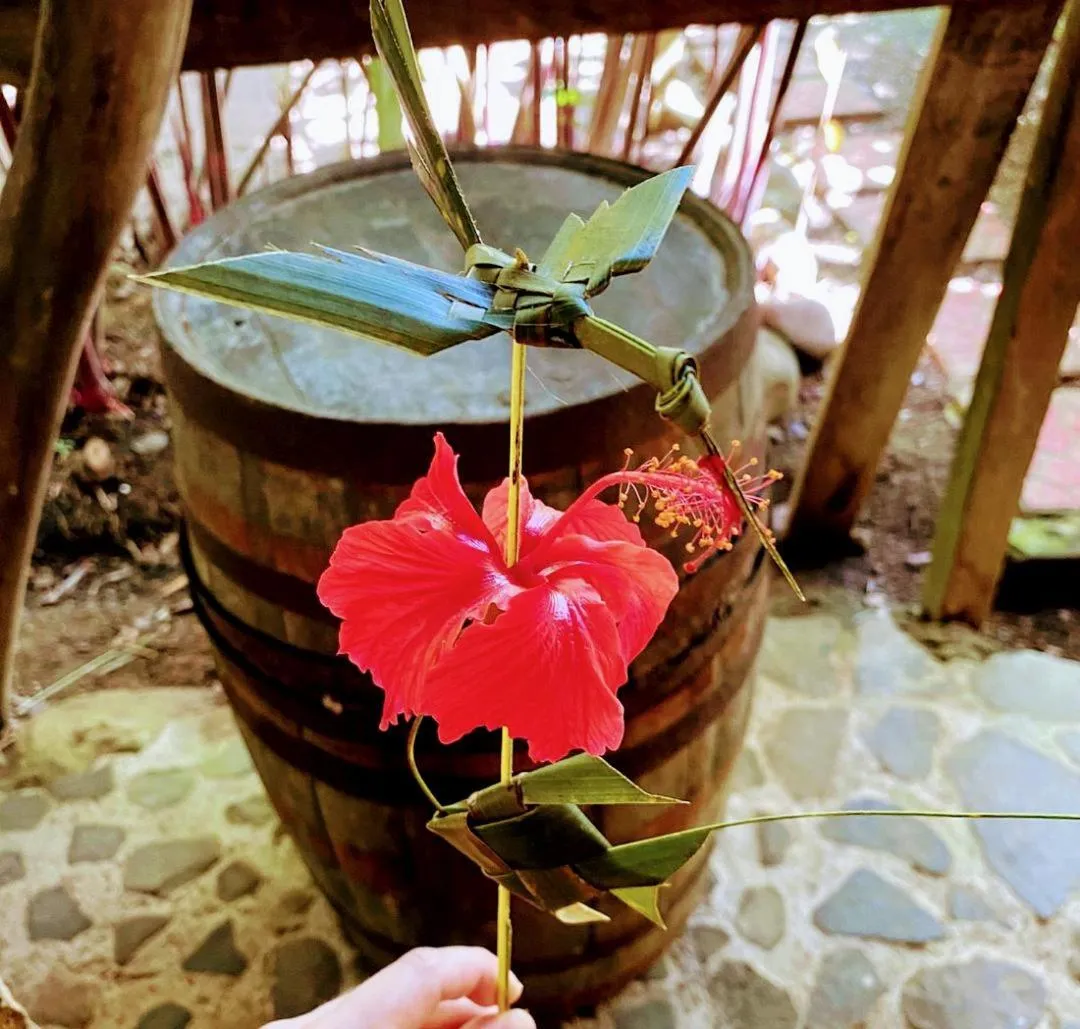 Garden in Rejens Hotel