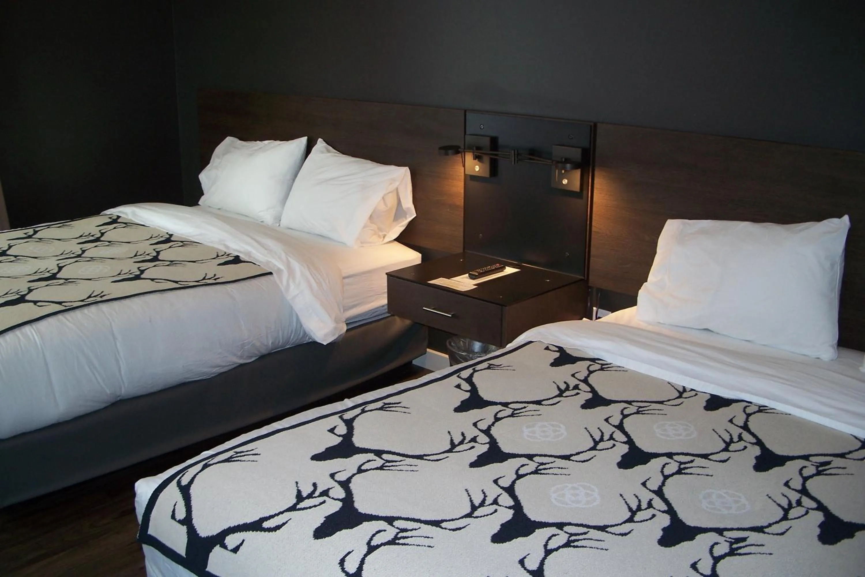 Photo of the whole room, Bed in Terra Nova Cabins