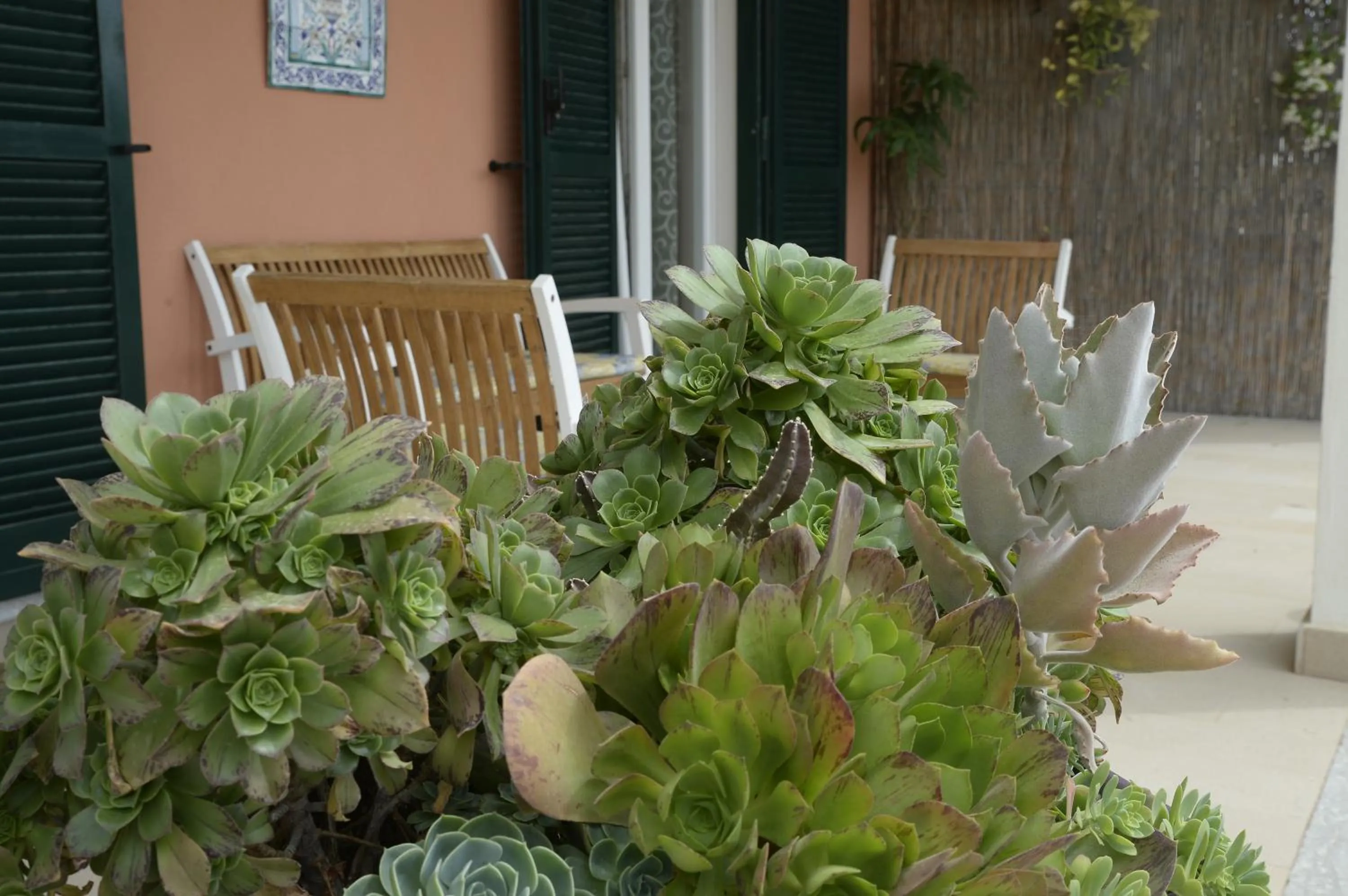 Patio in Il Sestante B&B